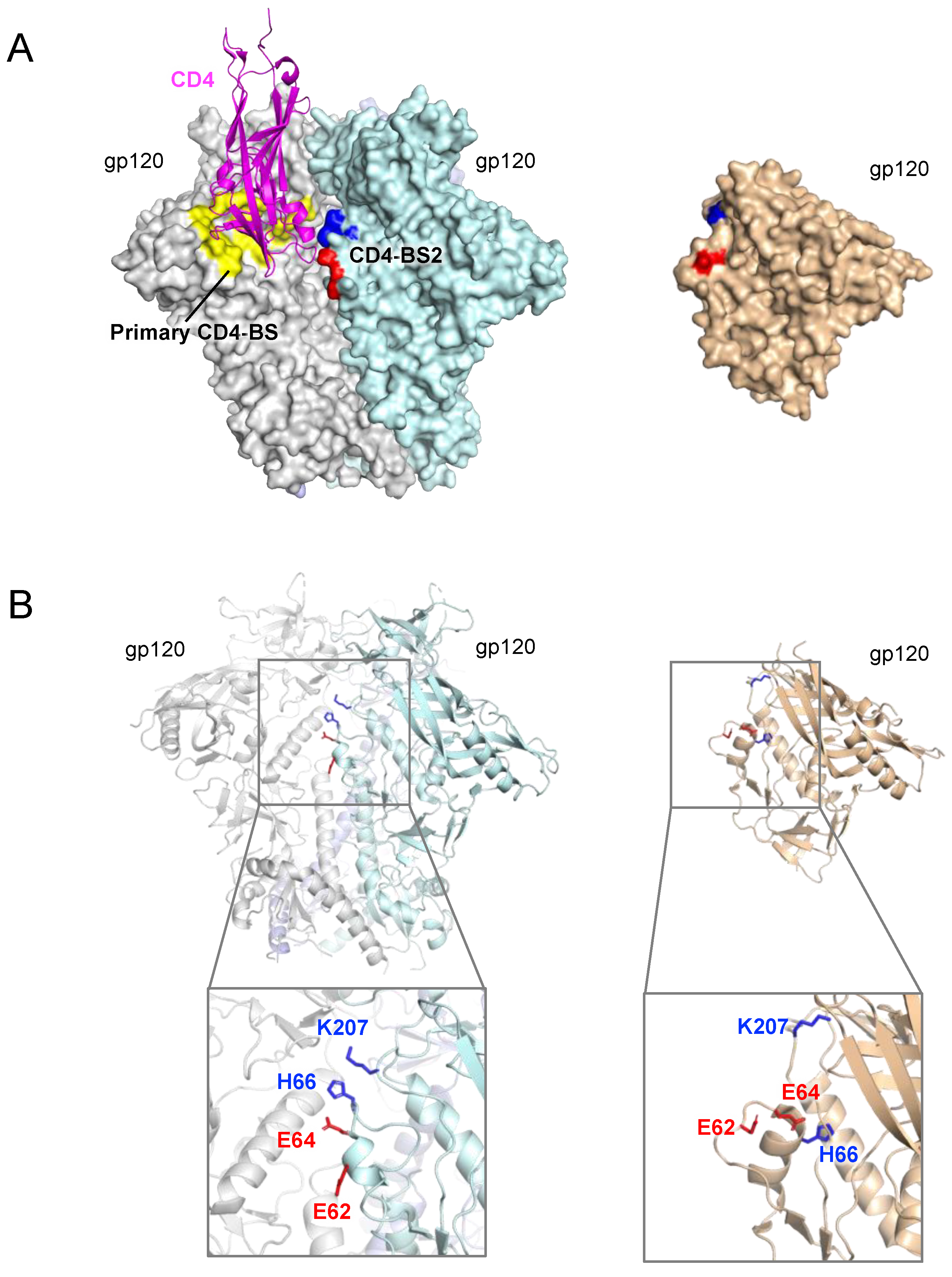 Viruses 13 01405 g001
