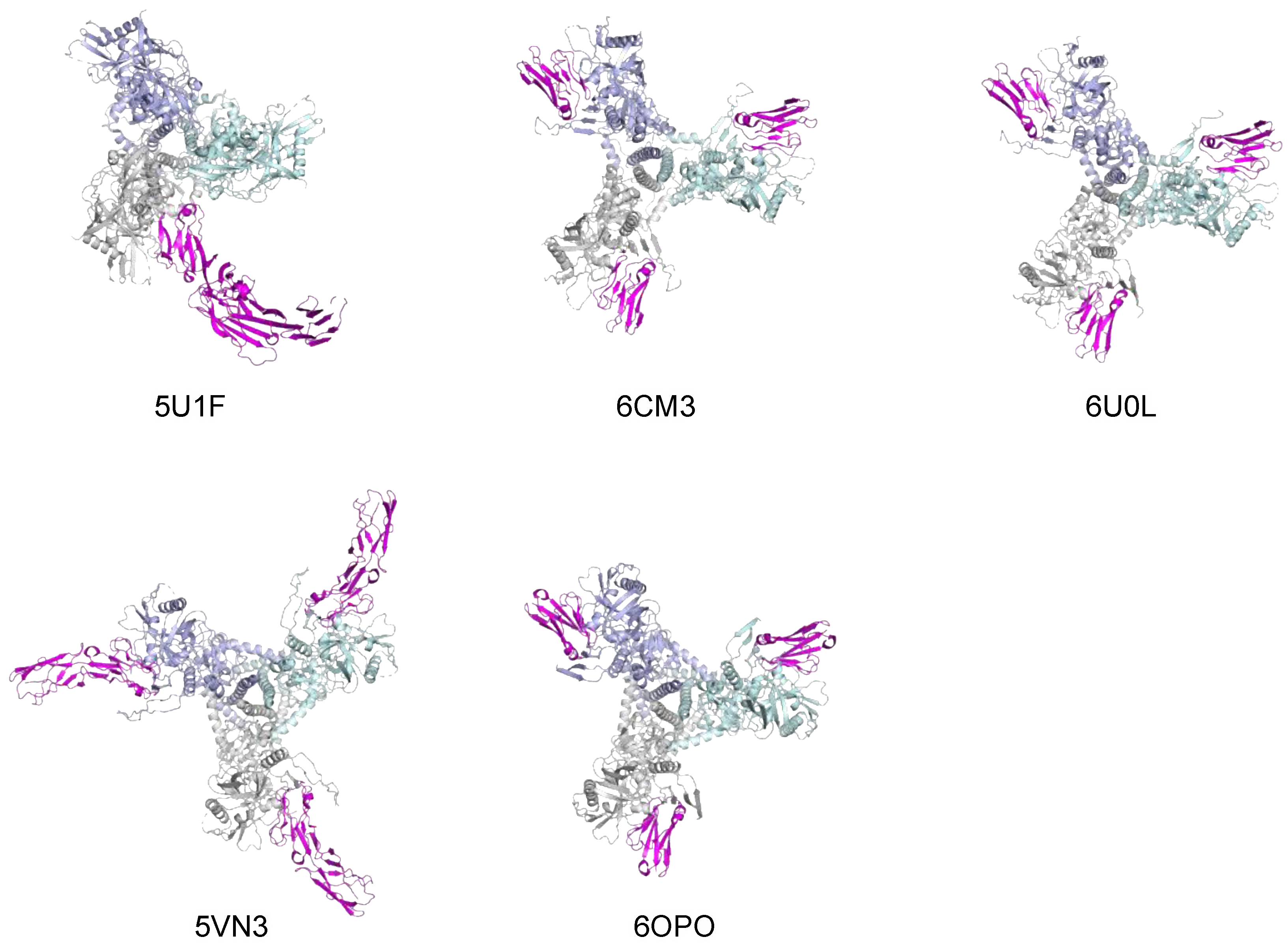 Viruses 13 01405 g002