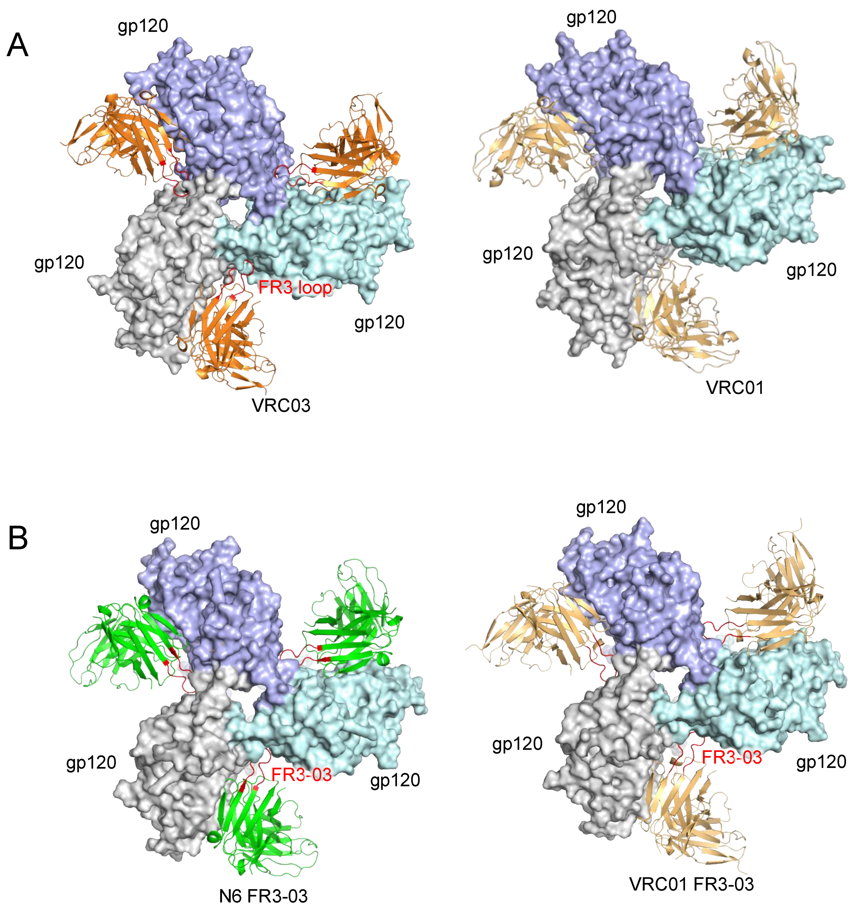 Viruses 13 01405 g004