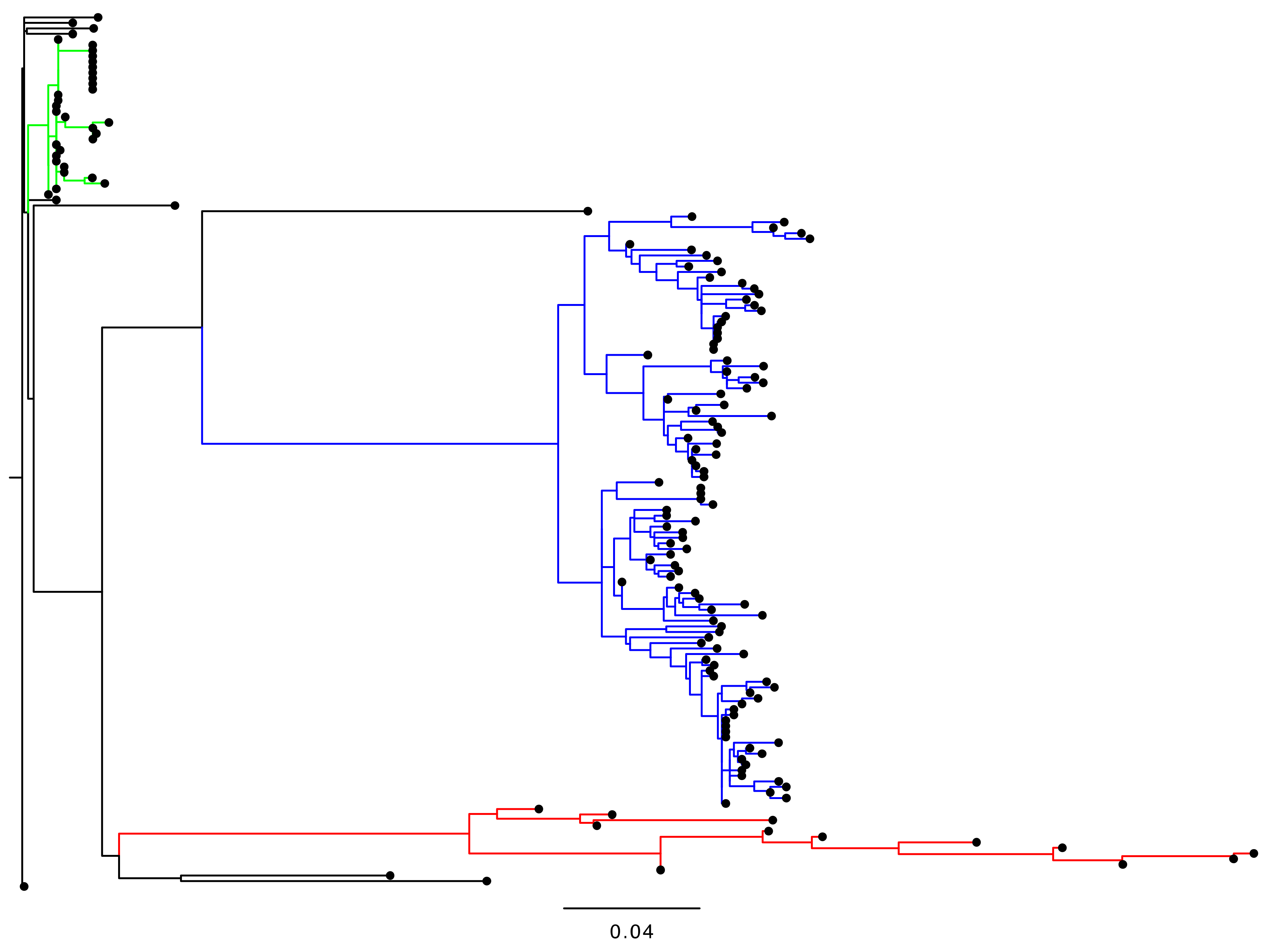 Viruses 13 01407 g001 Viruses 13 01407 g001