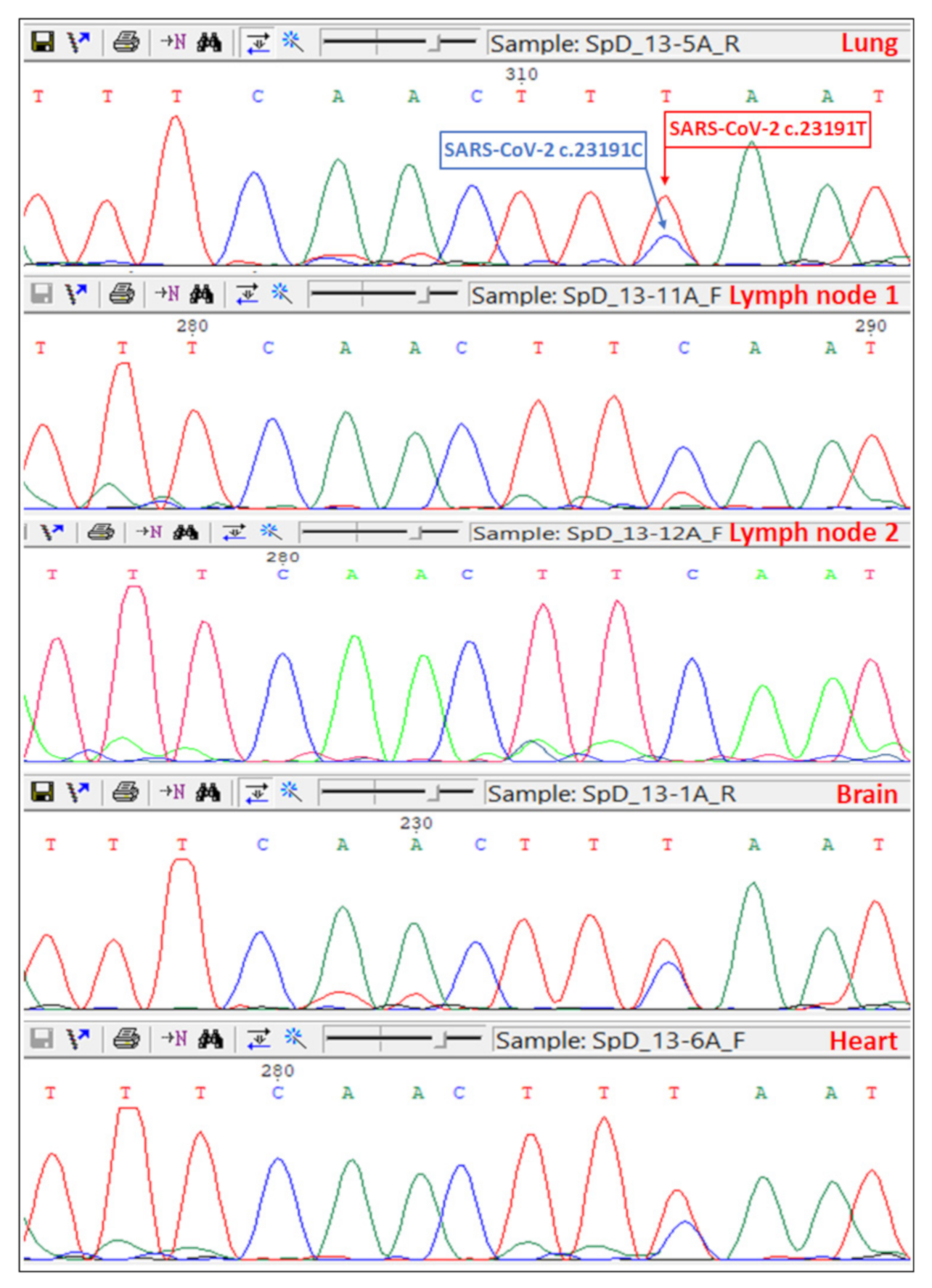 Viruses 13 01410 g003
