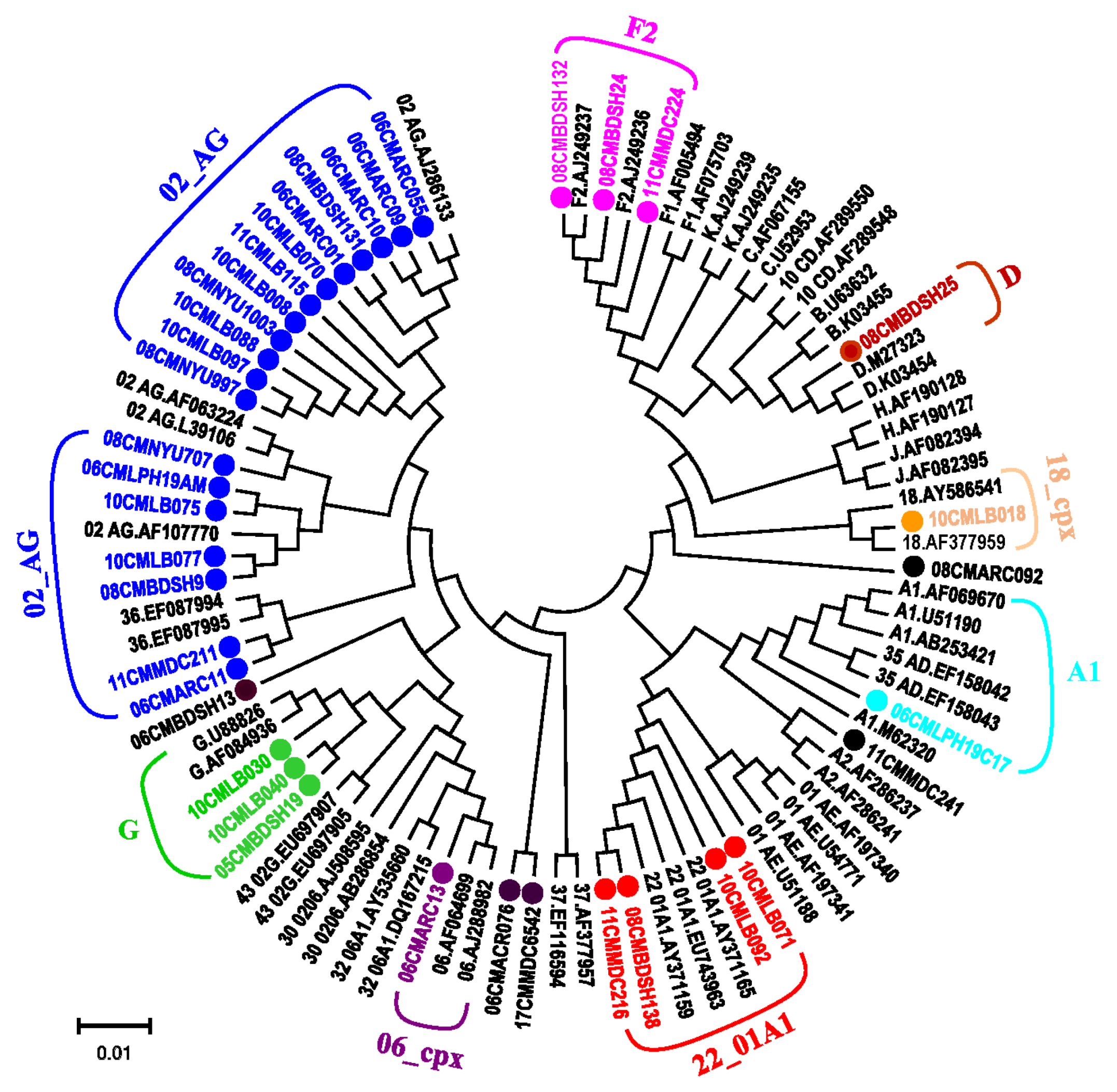 Viruses 13 01417 g001