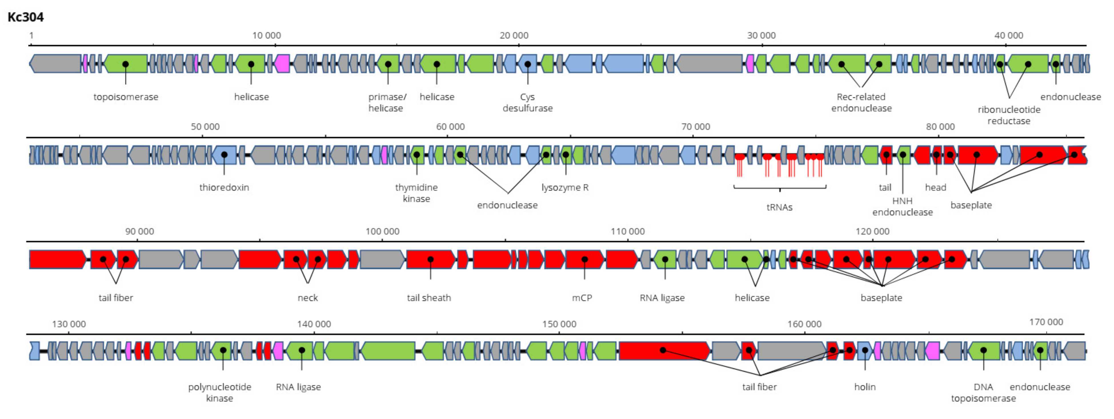 Viruses 13 01418 g008 550