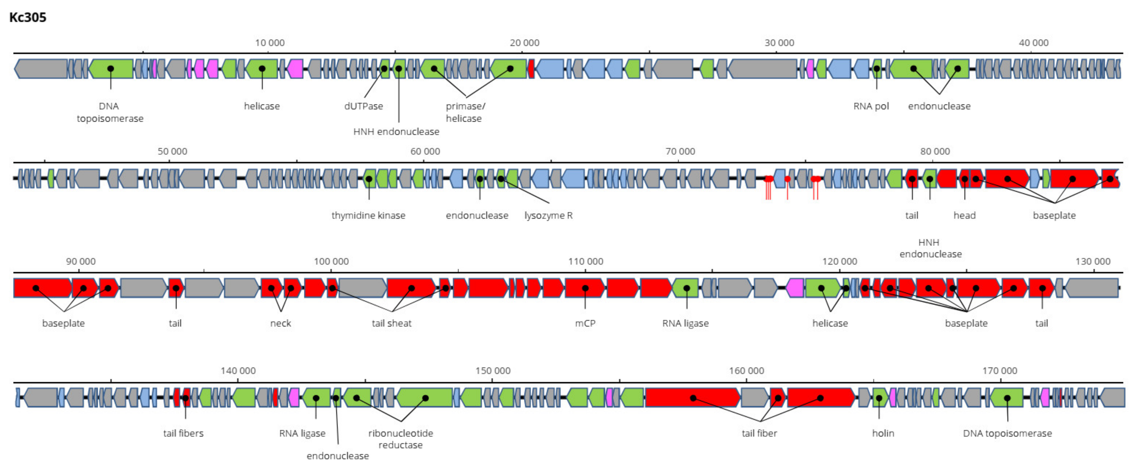 Viruses 13 01418 g009 550