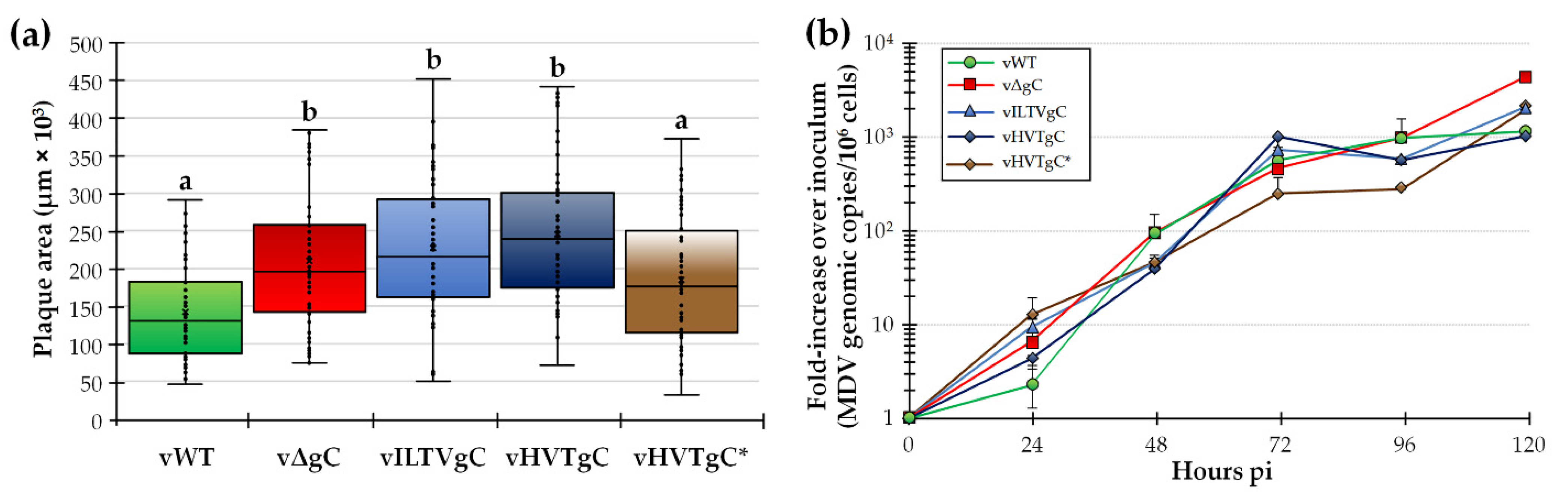 Viruses 13 01419 g002 Viruses 13 01419 g002