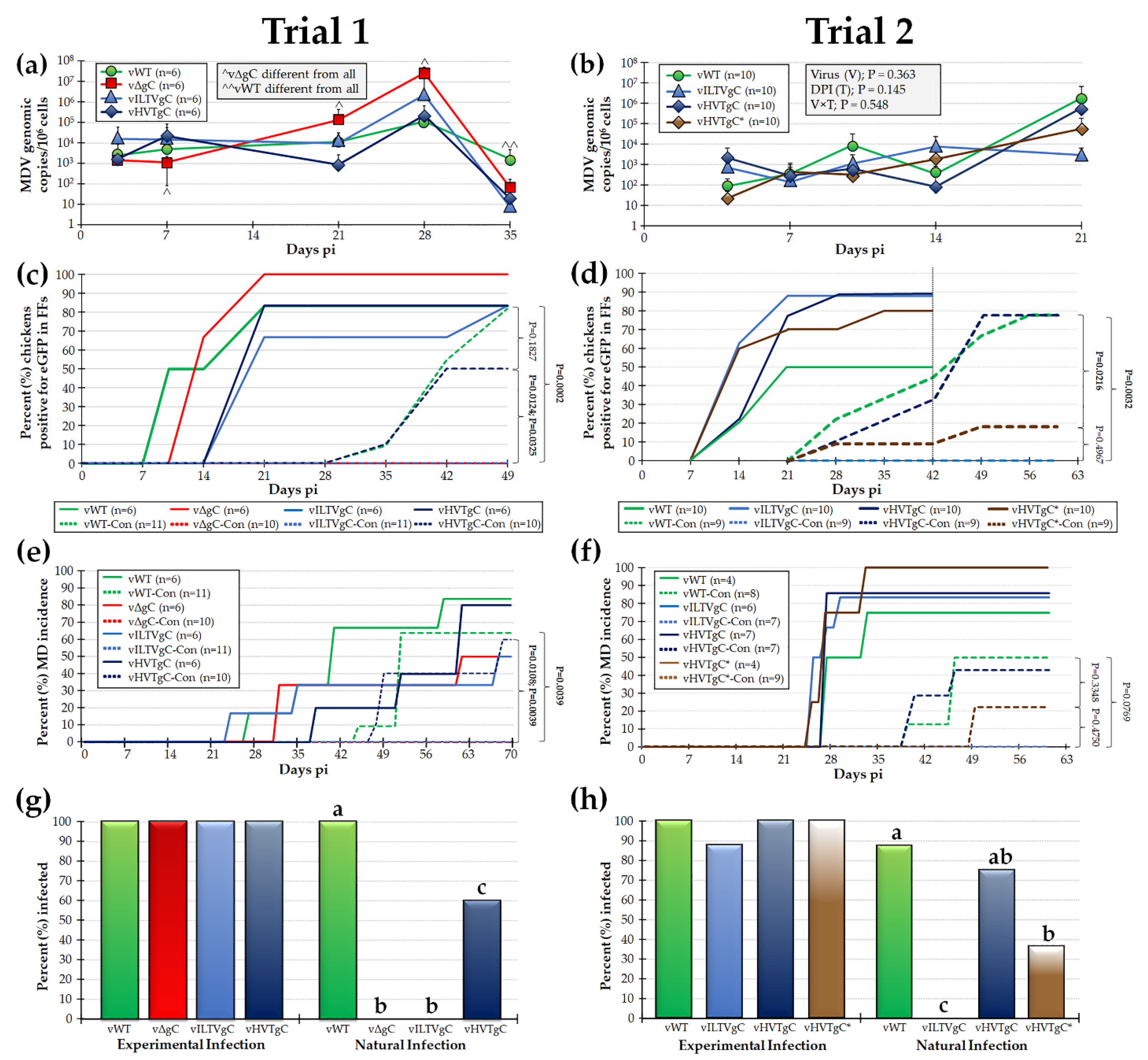 Viruses 13 01419 g003 Viruses 13 01419 g003