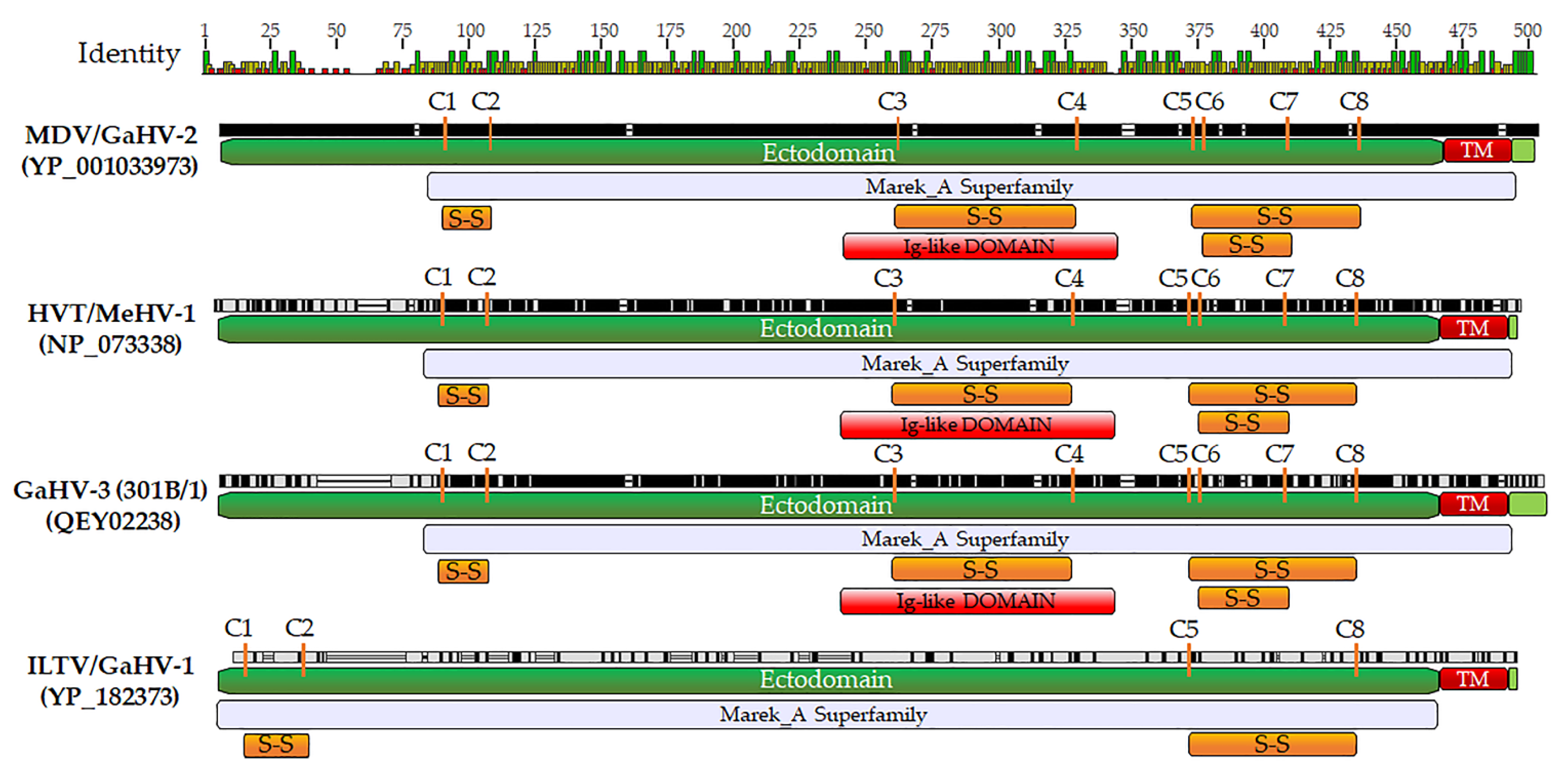 Viruses 13 01419 g005 Viruses 13 01419 g005