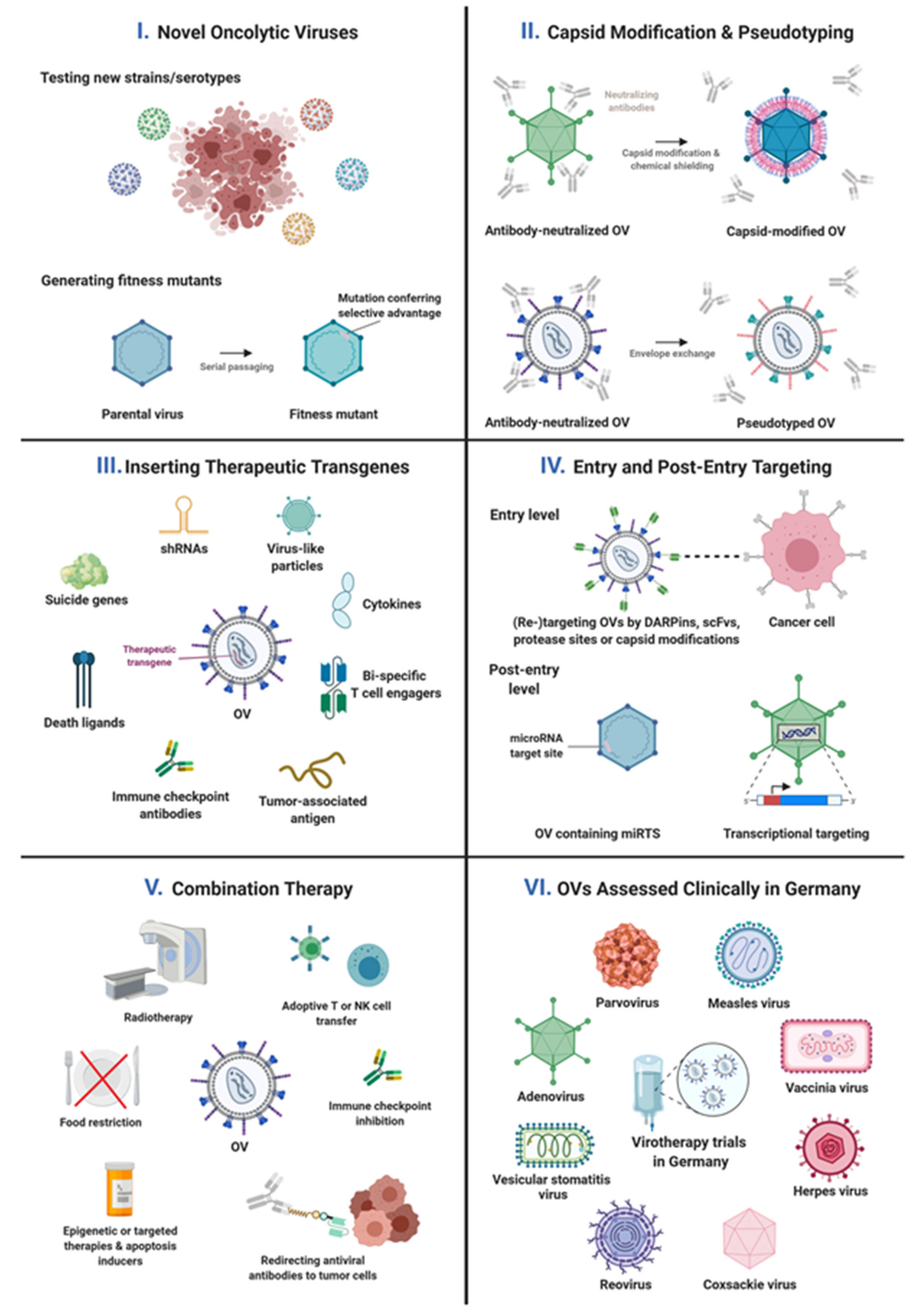 Viruses 13 01420 g001 Viruses 13 01420 g001