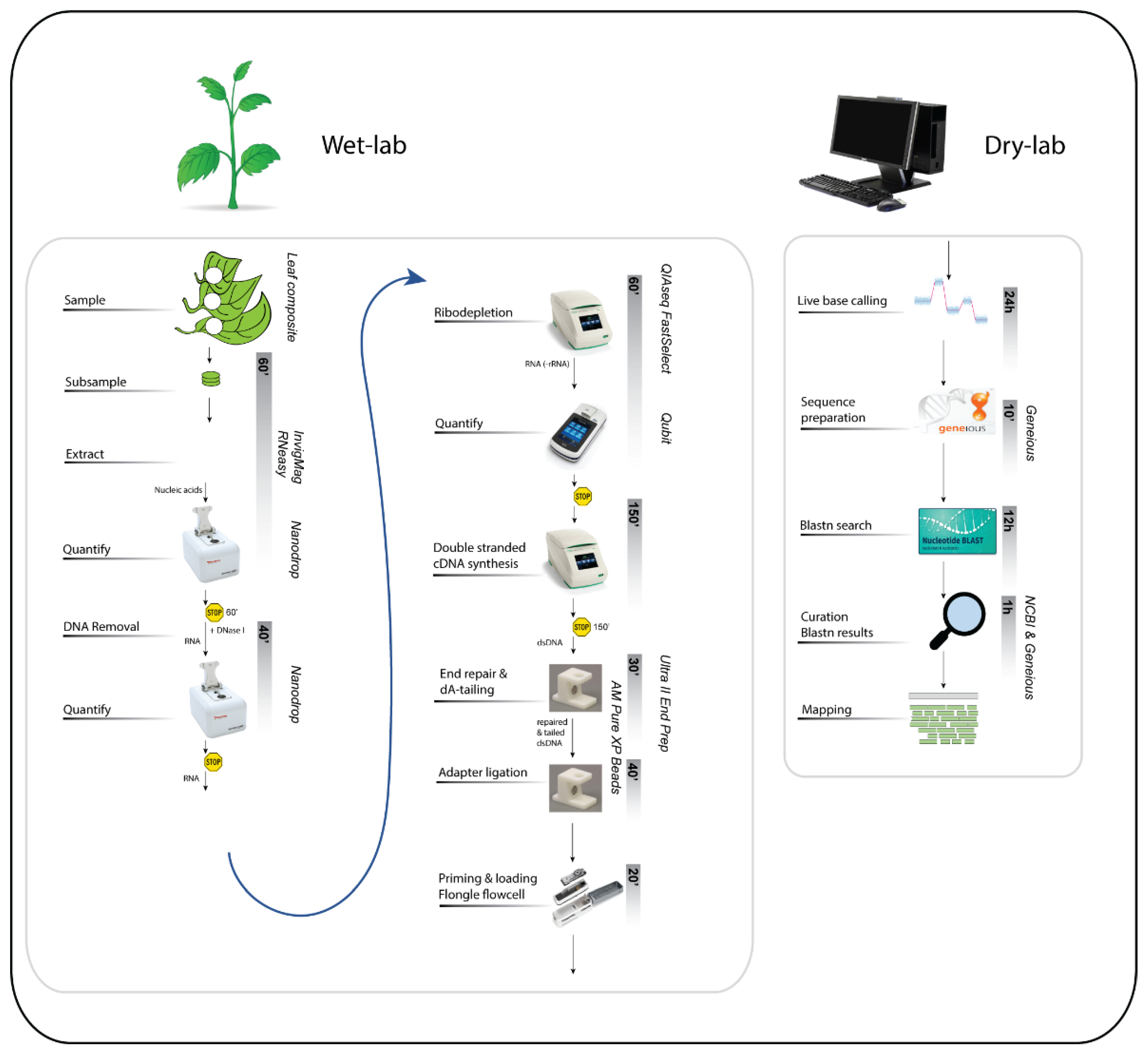 Viruses 13 01424 g002 550