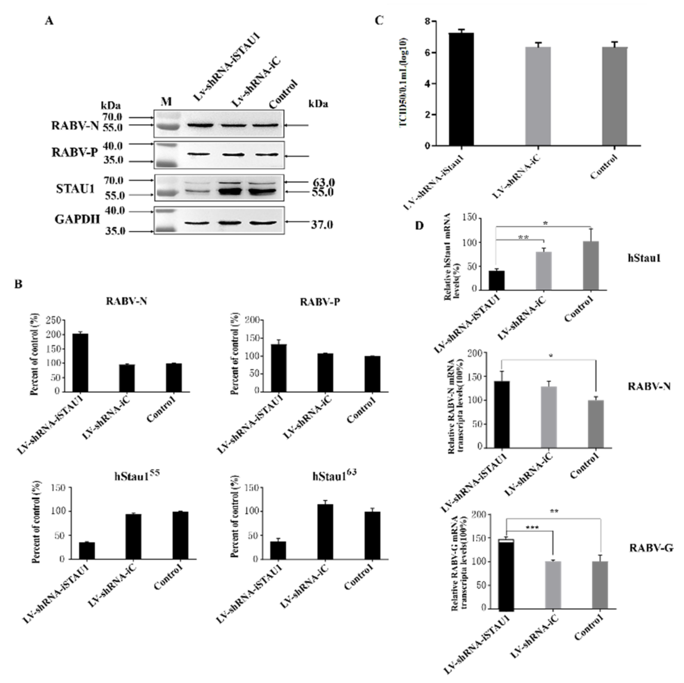 Viruses 13 01426 g003