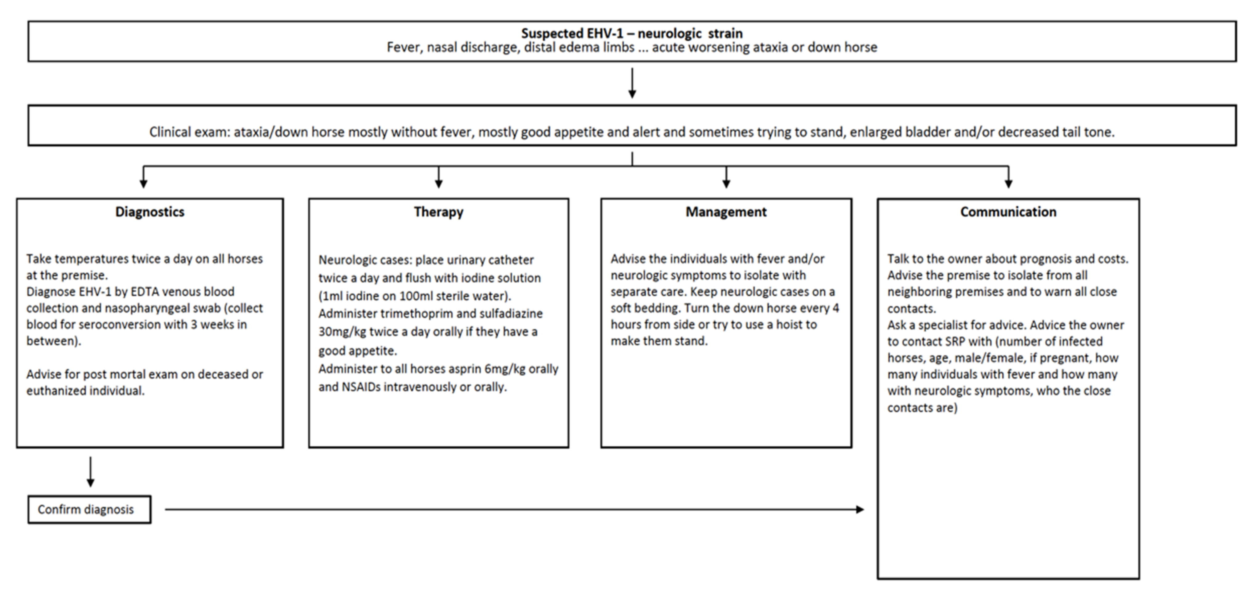 Viruses 13 01429 g001 550