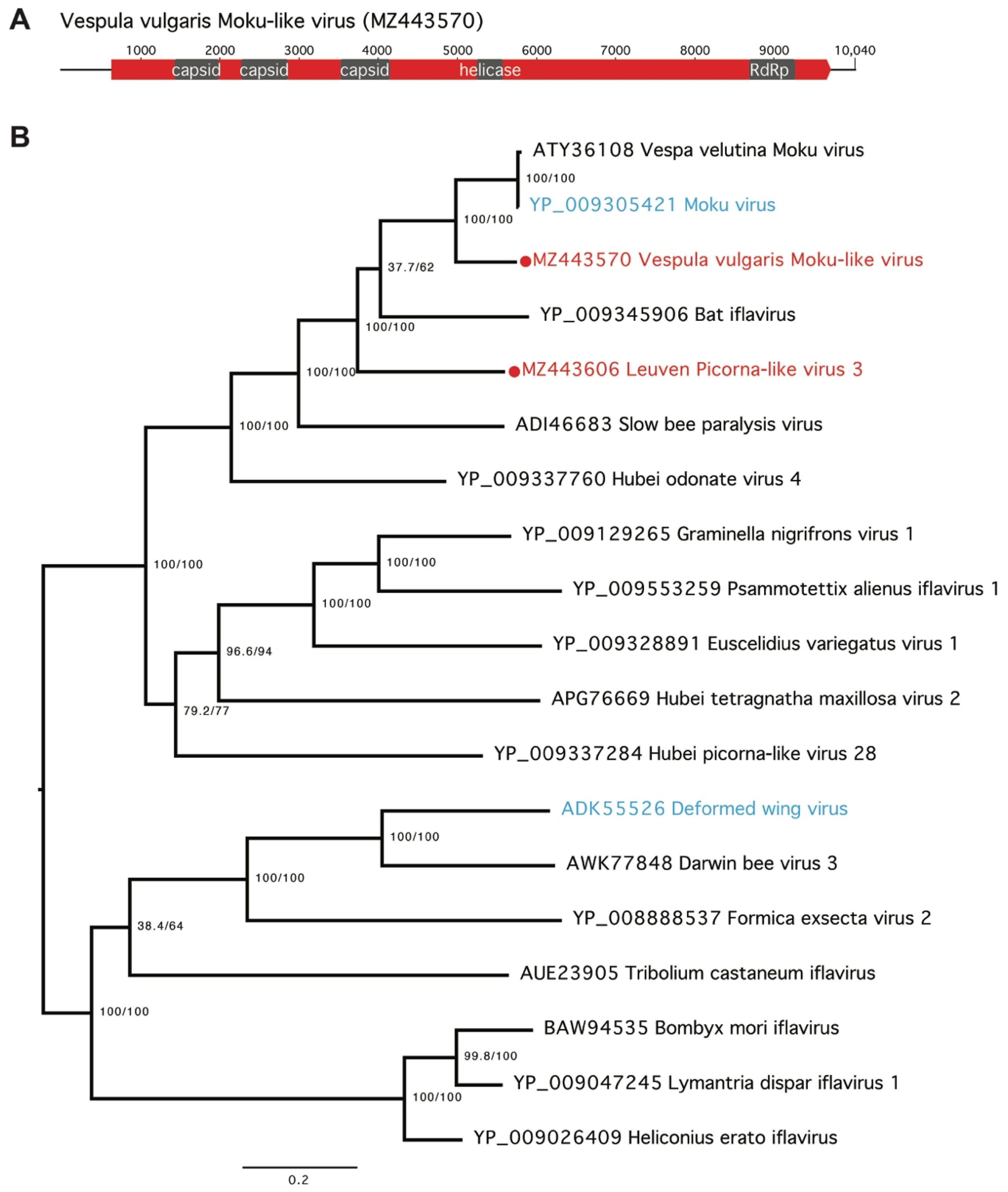 Viruses 13 01431 g004