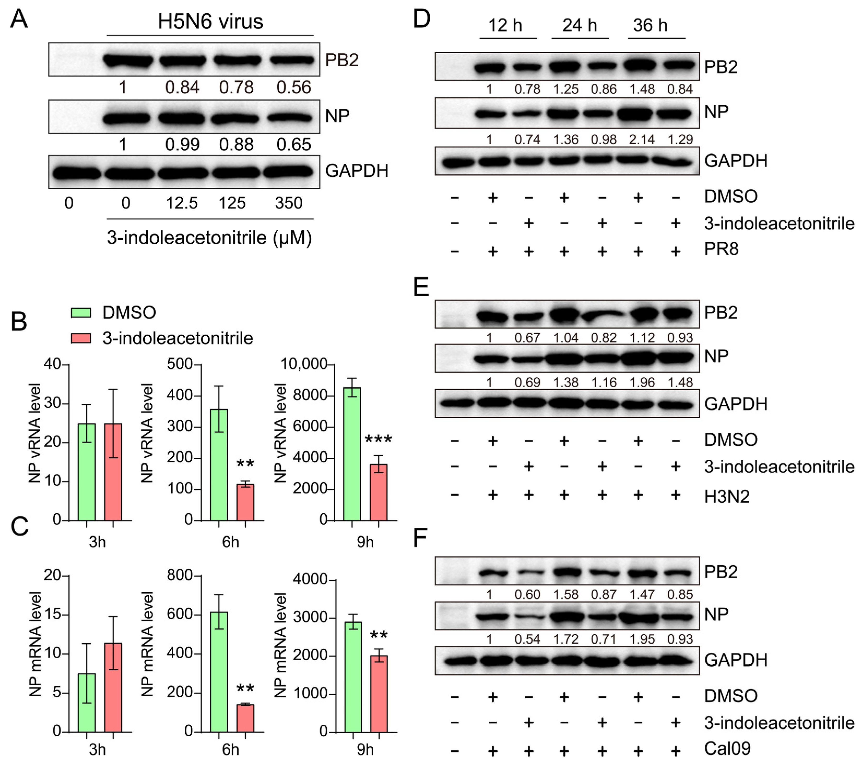 Viruses 13 01433 g004 550