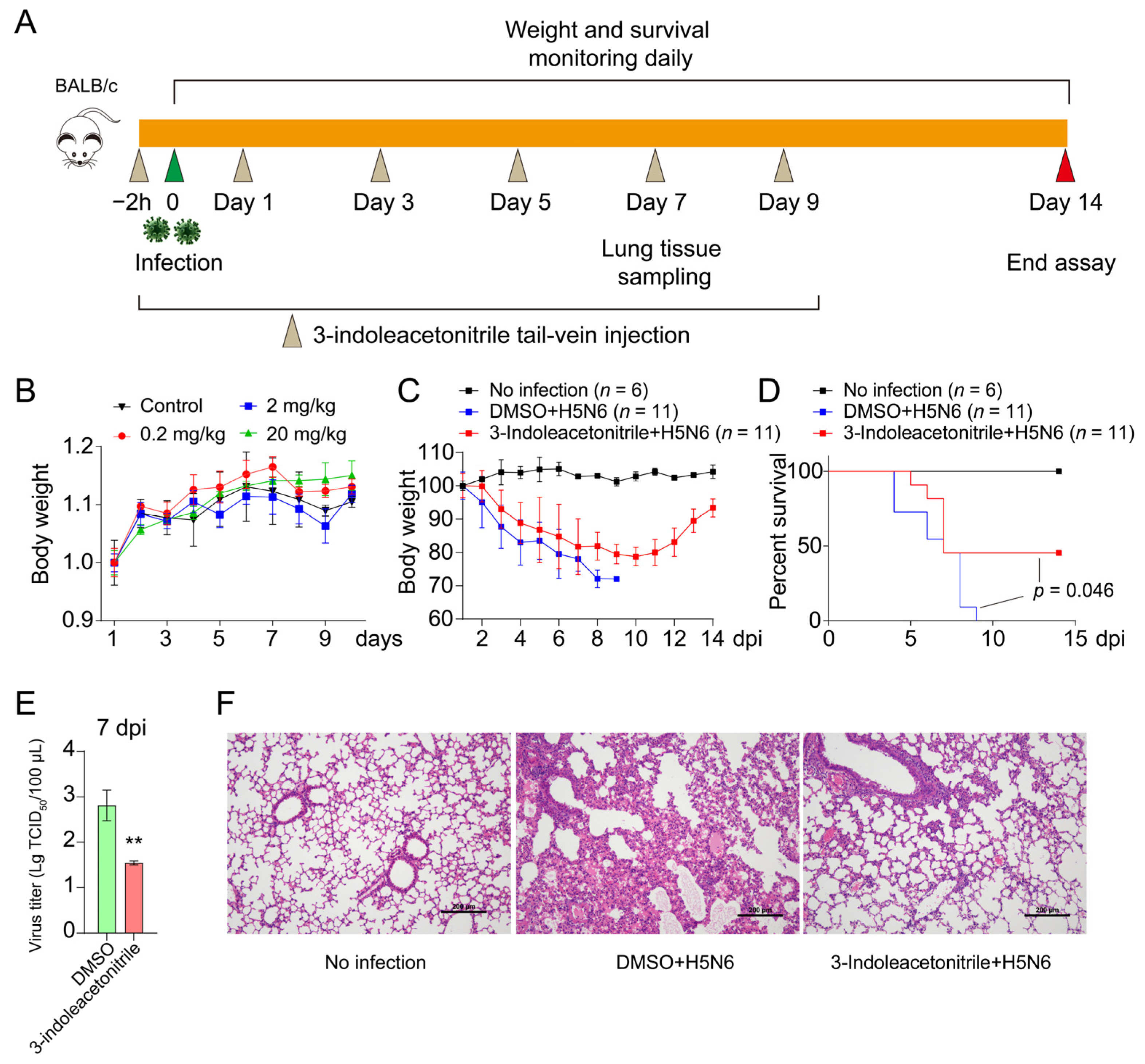 Viruses 13 01433 g005 550