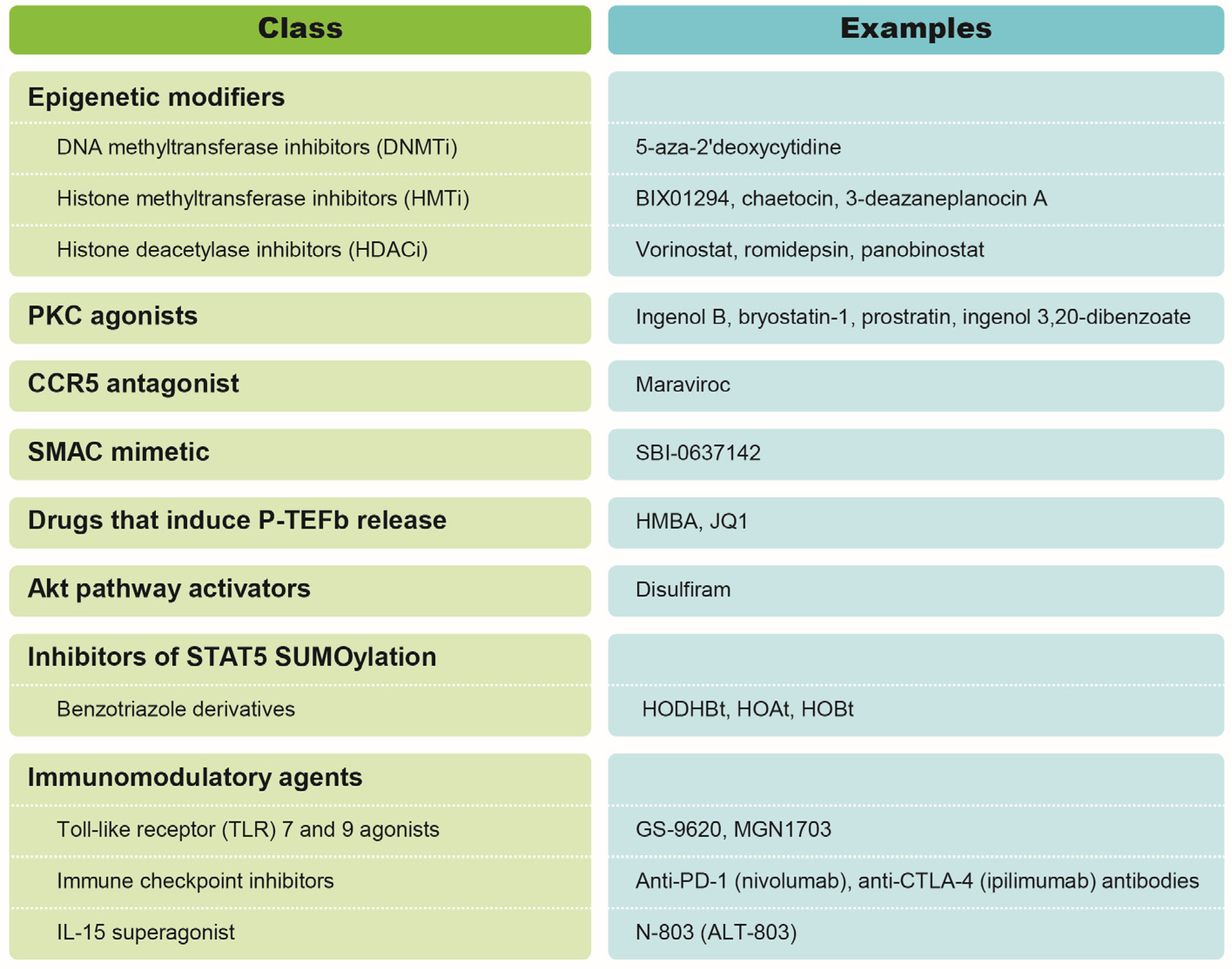 Viruses 13 01451 g001