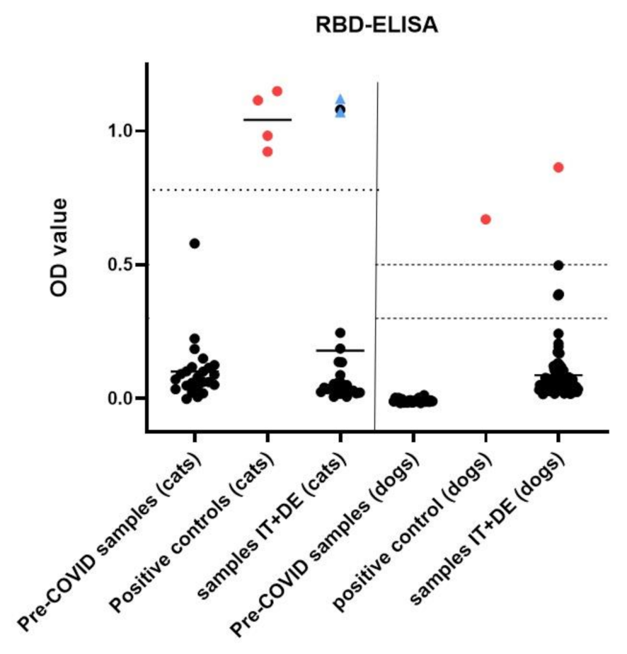 Viruses 13 01453 g004 550