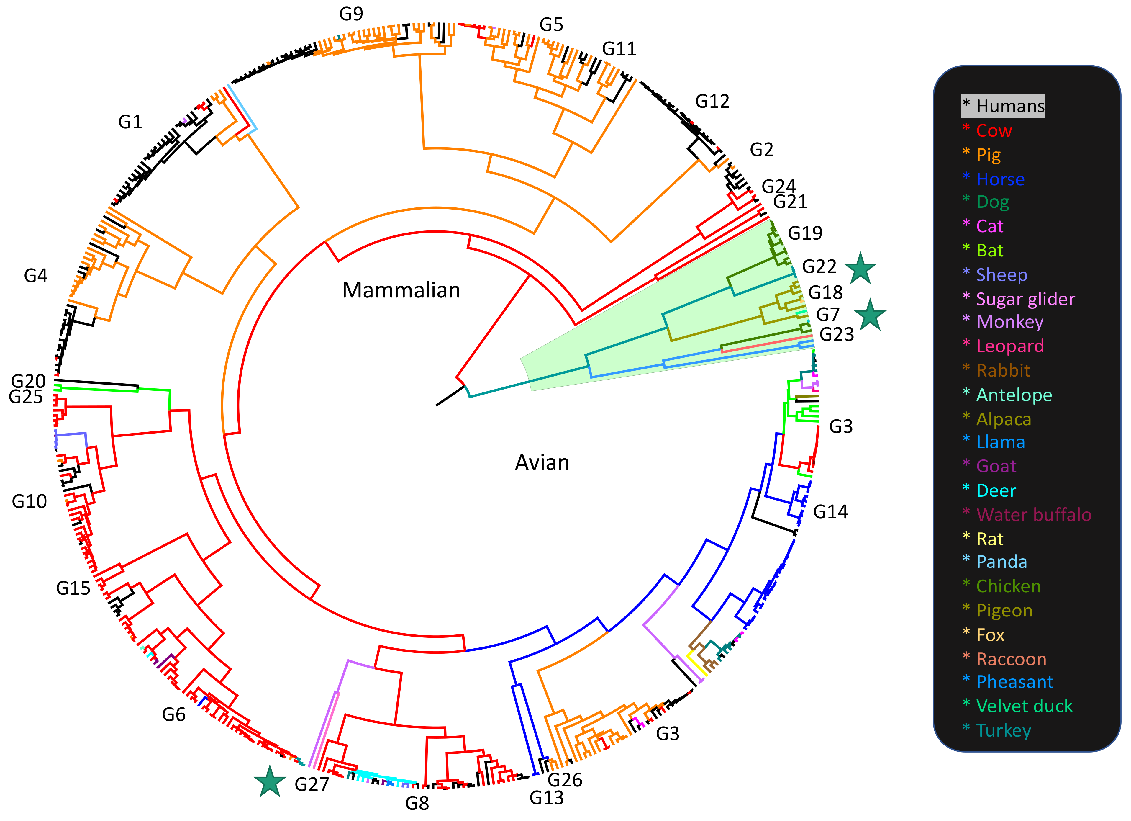 Viruses 13 01460 g001