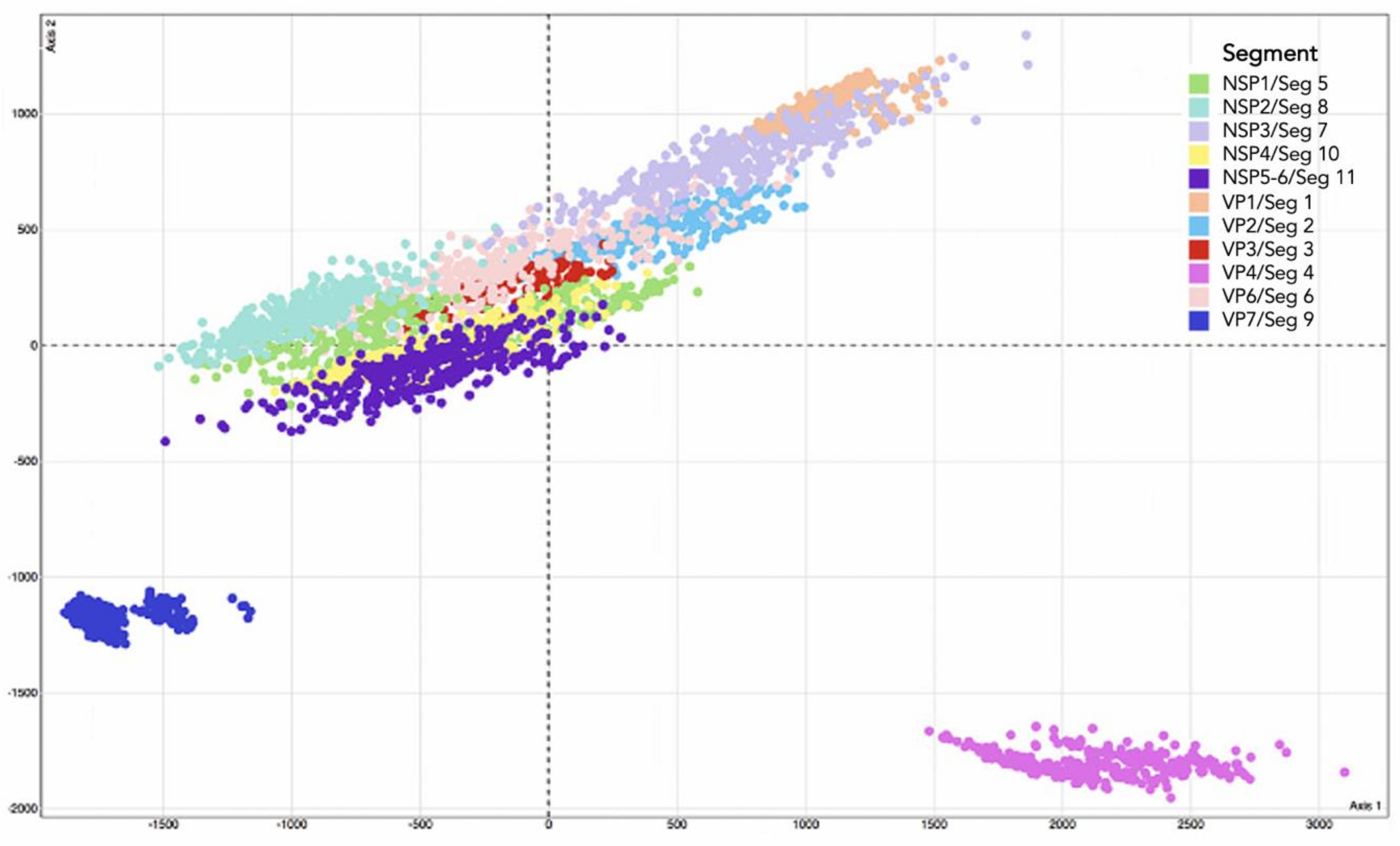 Viruses 13 01460 g002