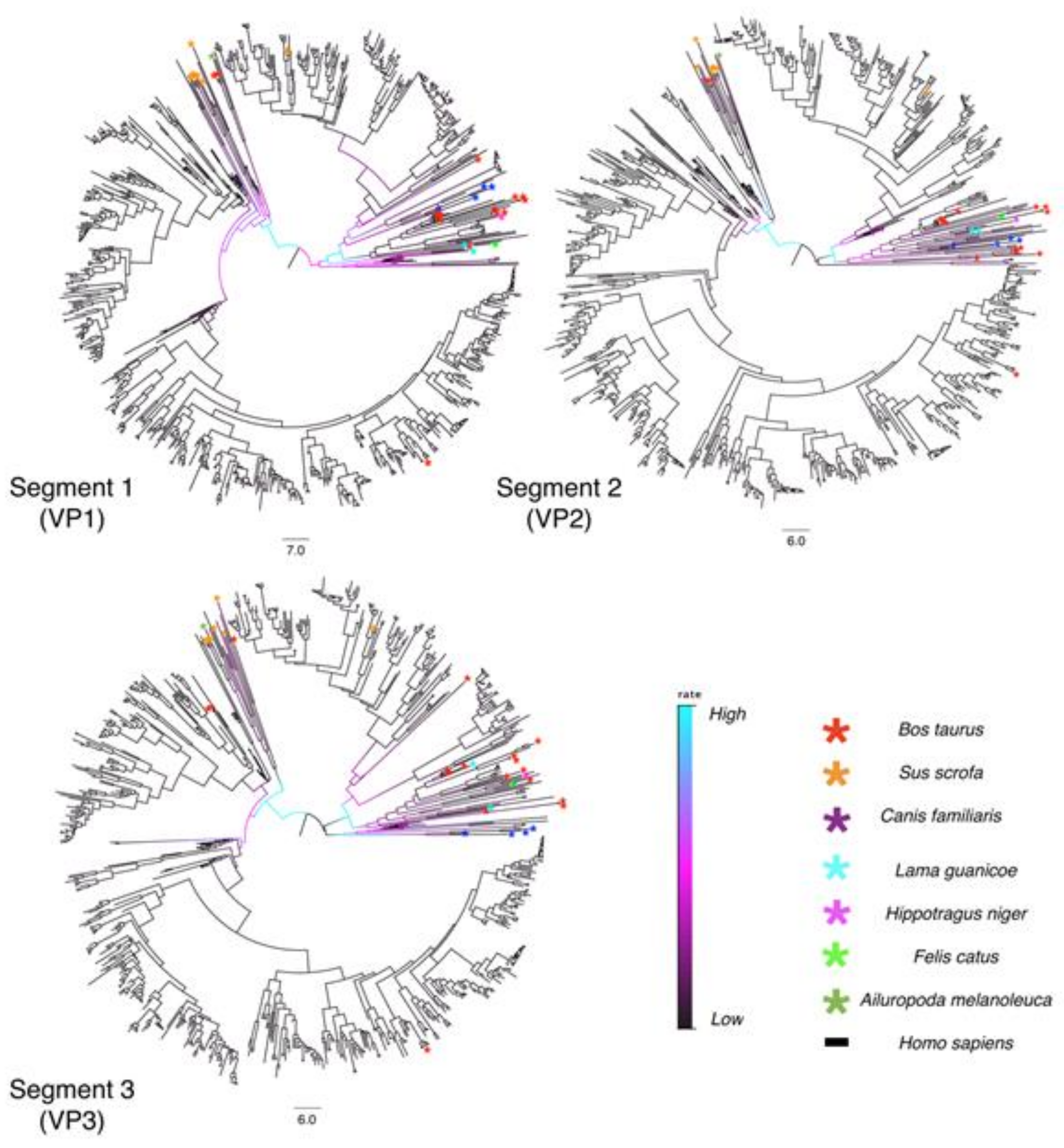 Viruses 13 01460 g003