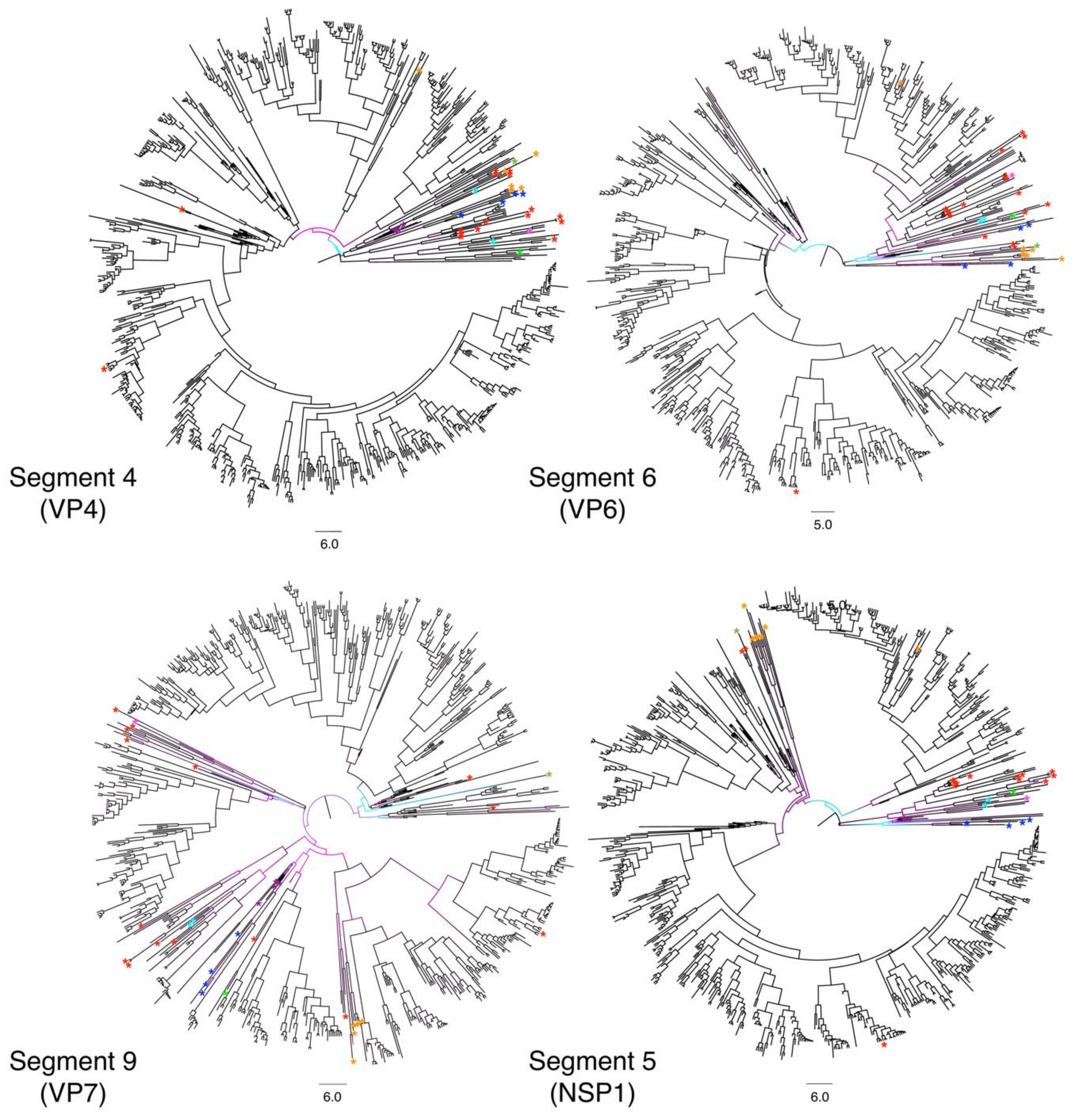 Viruses 13 01460 g004