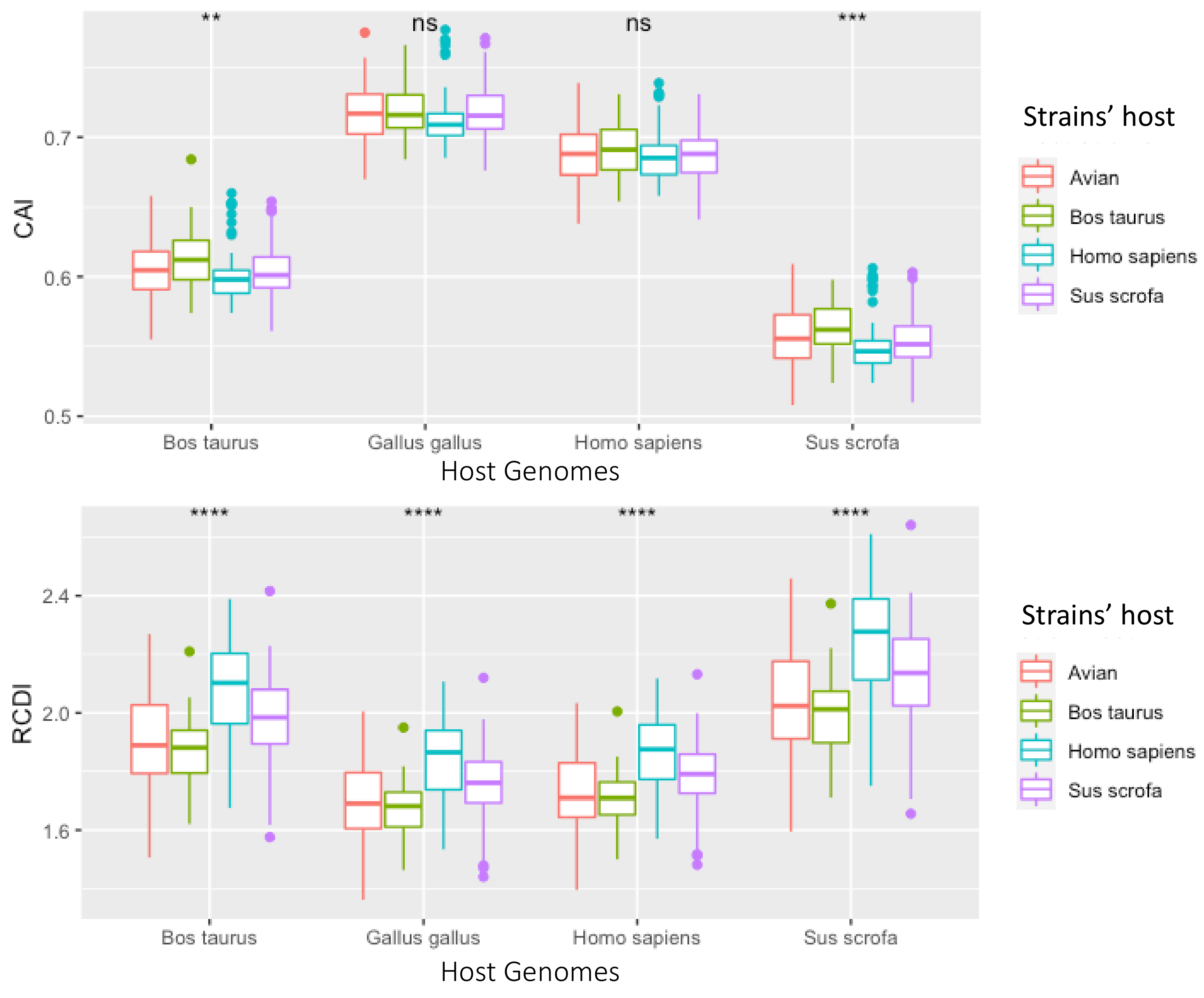 Viruses 13 01460 g010