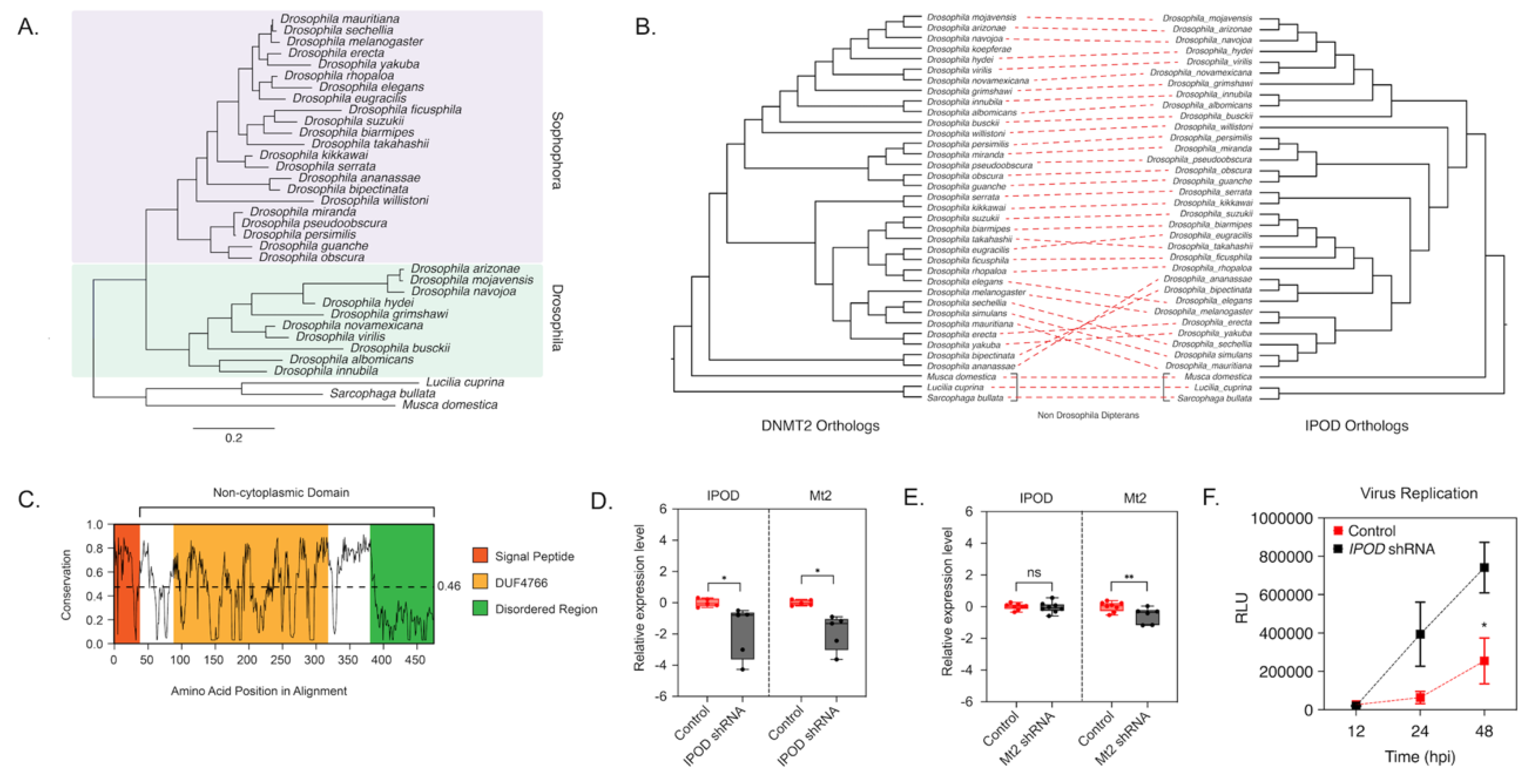 Viruses 13 01464 g002 Viruses 13 01464 g002