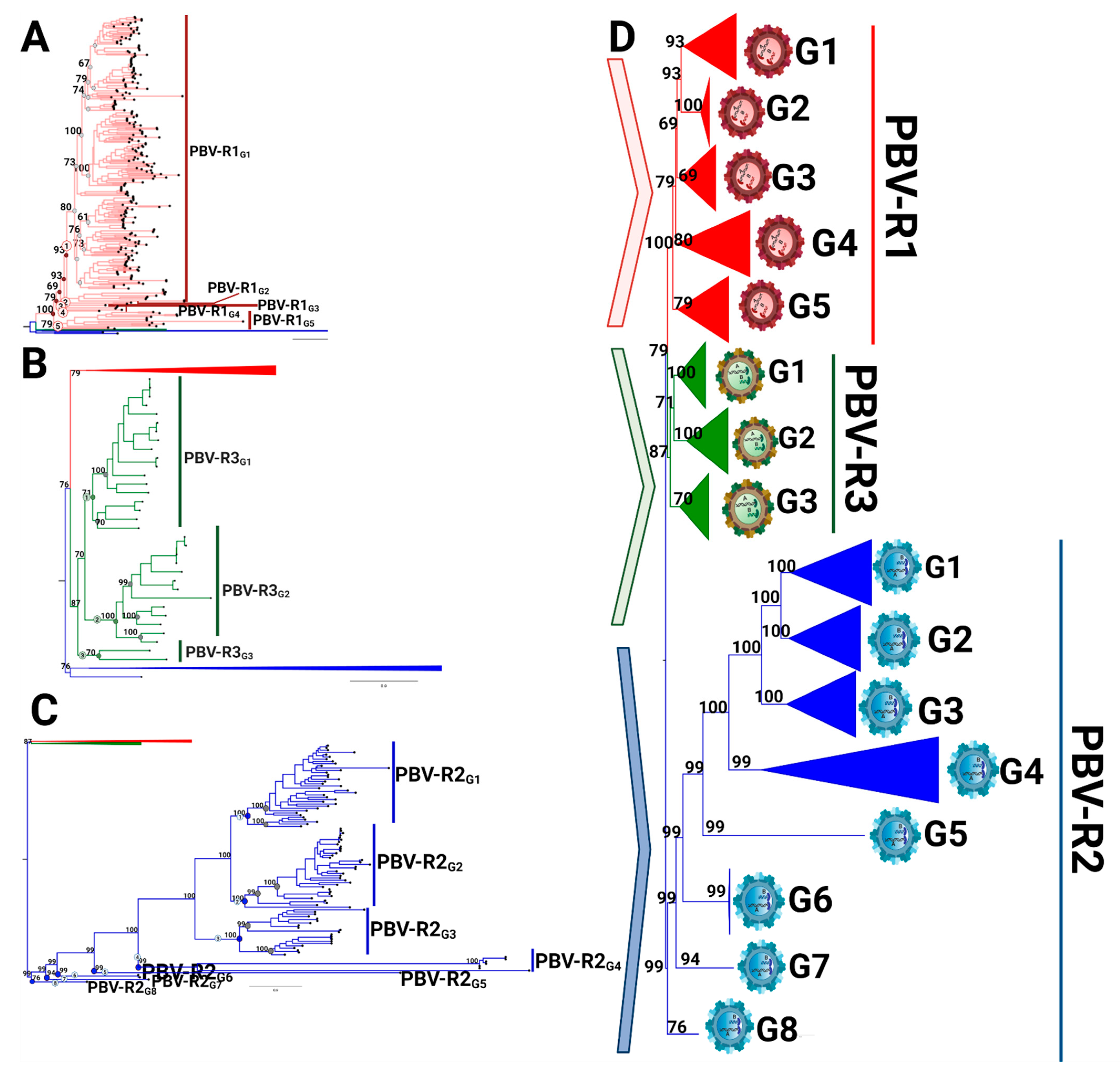 Viruses 13 01476 g005 550