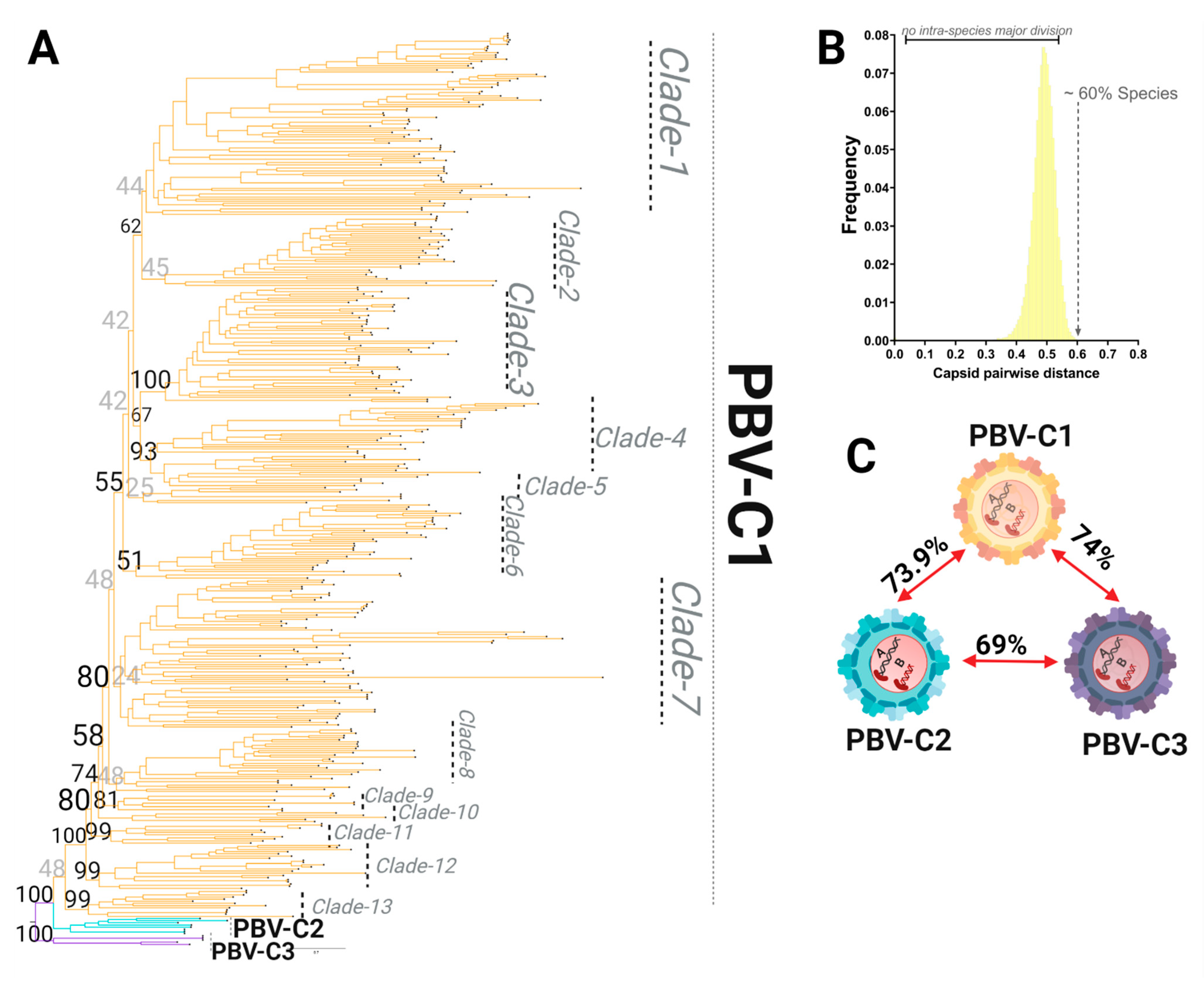 Viruses 13 01476 g006 550