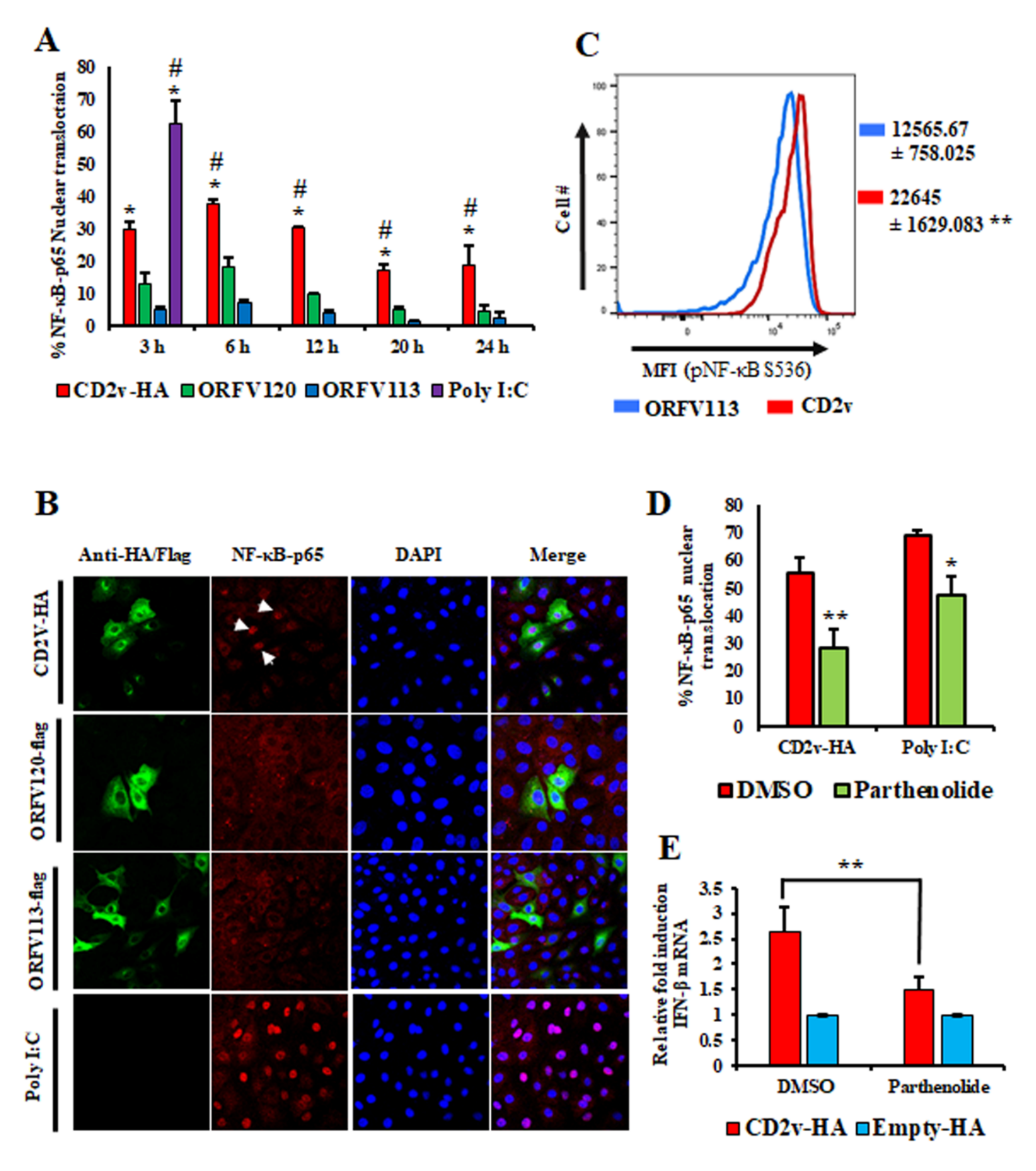 Viruses 13 01480 g003