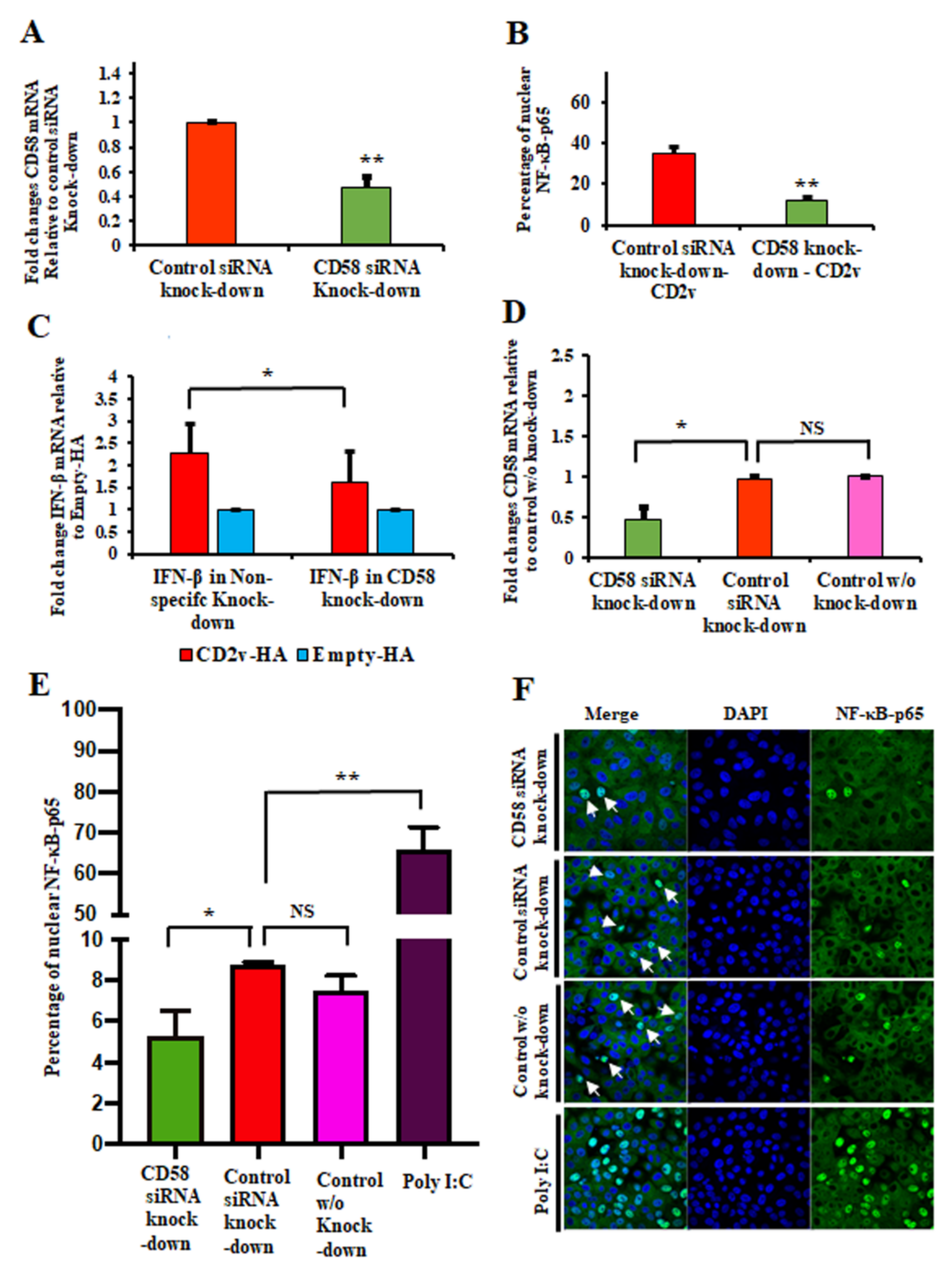 Viruses 13 01480 g005