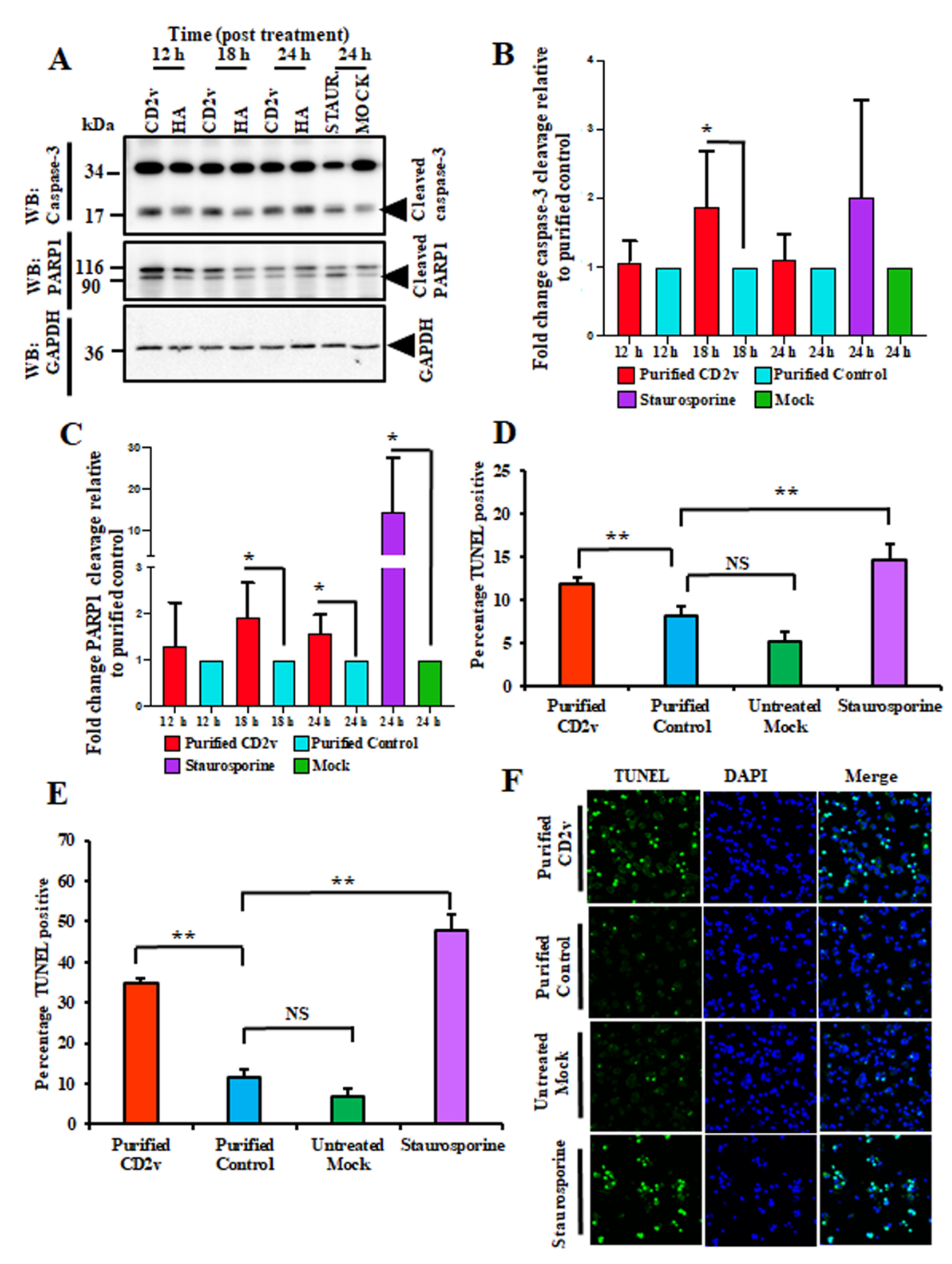 Viruses 13 01480 g008