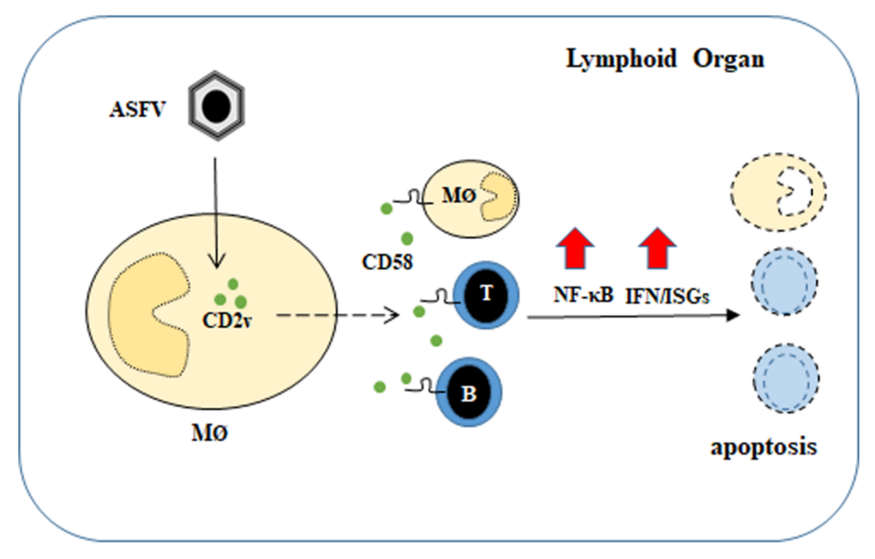 Viruses 13 01480 g009
