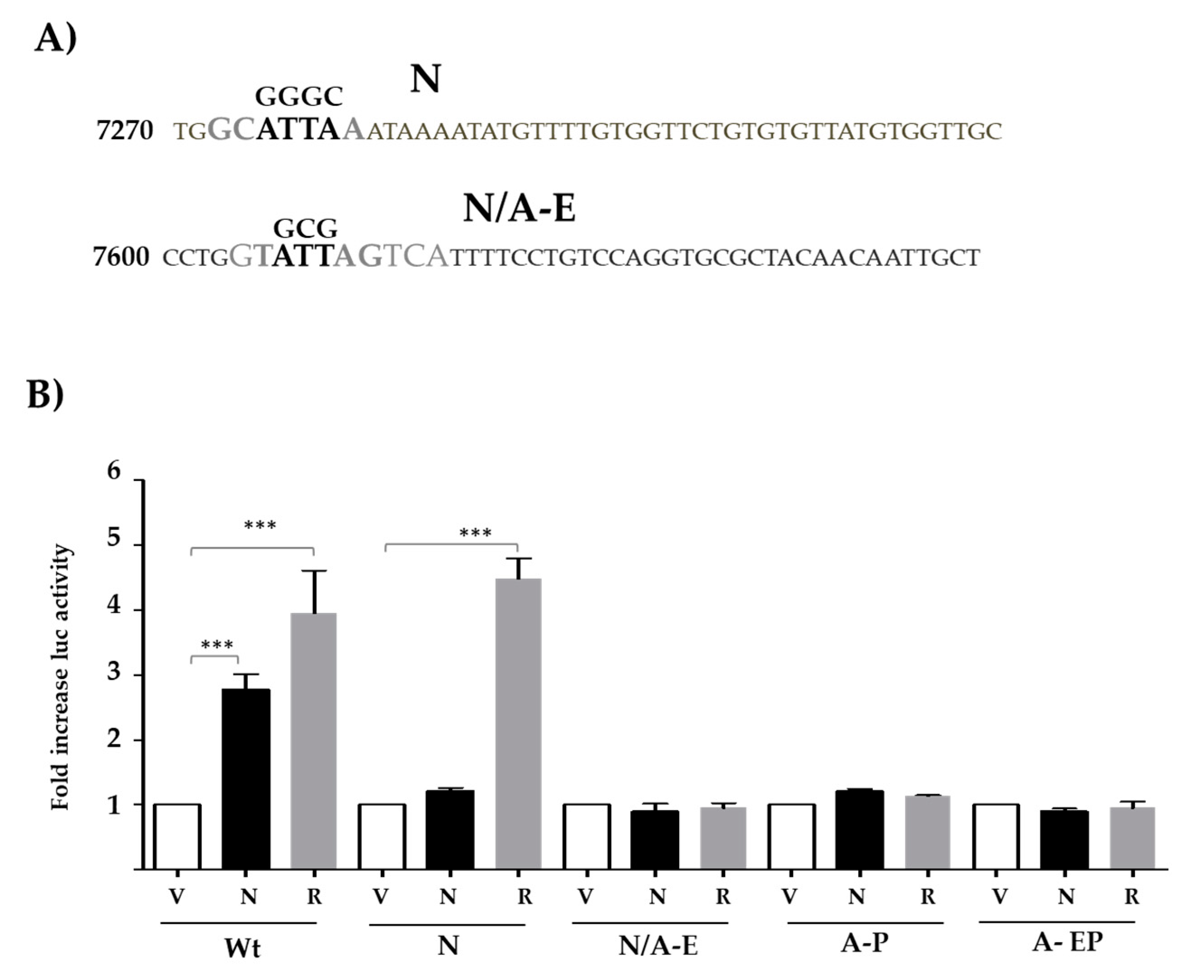 Viruses 13 01482 g003 550