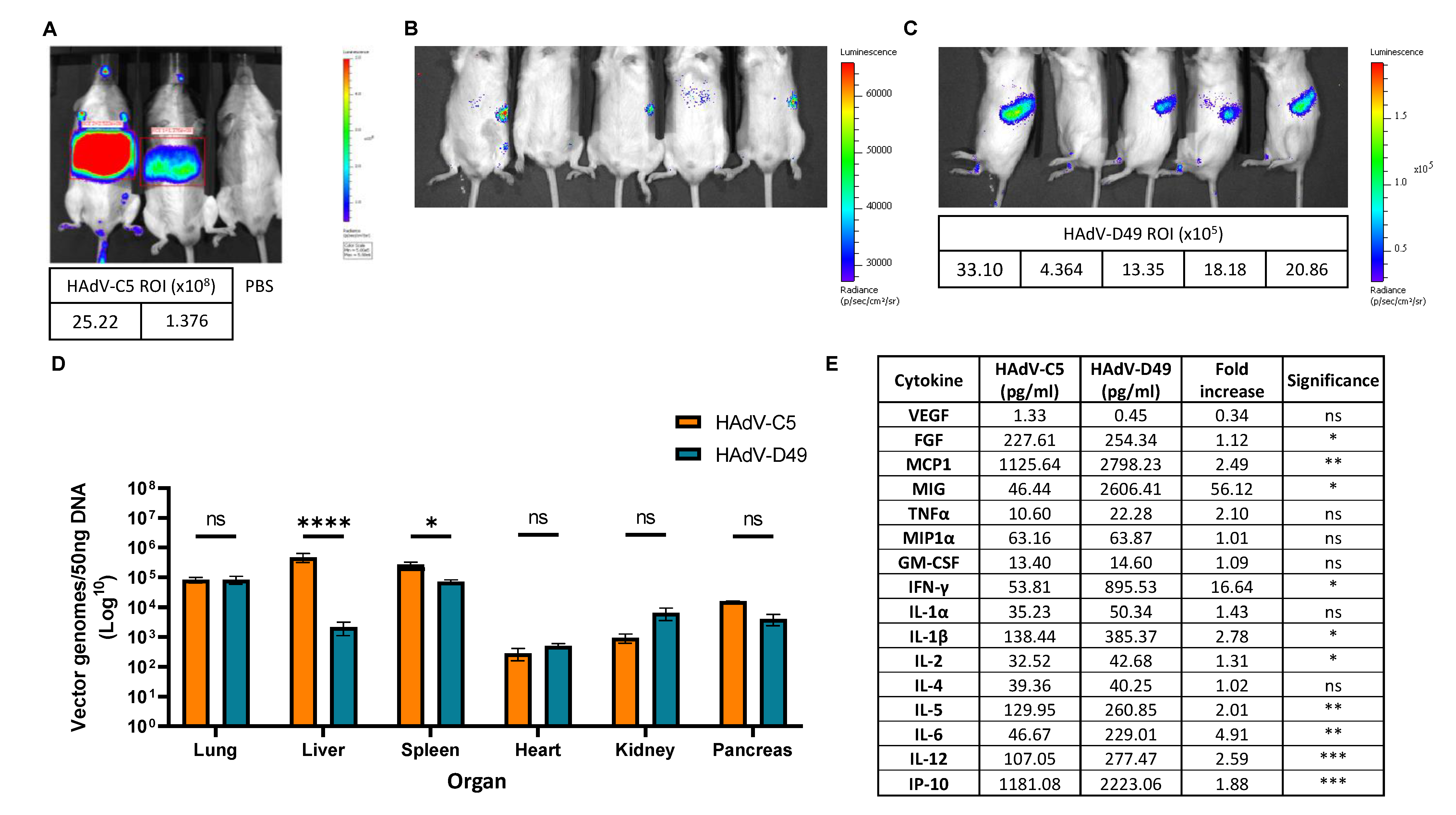 Viruses 13 01483 g002