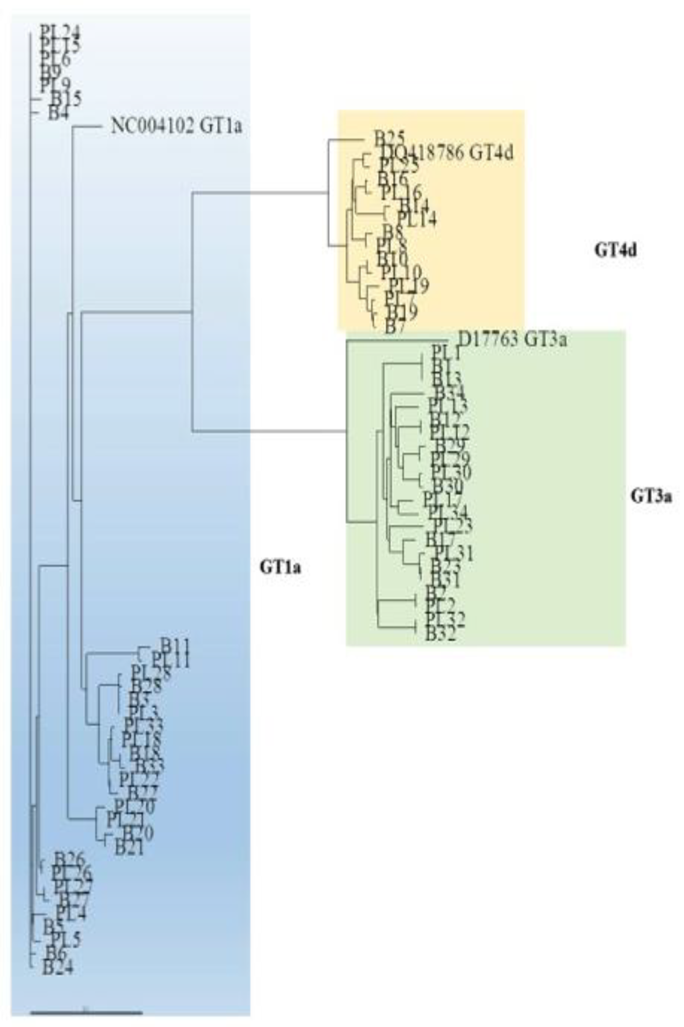 Viruses 13 01486 g002 550