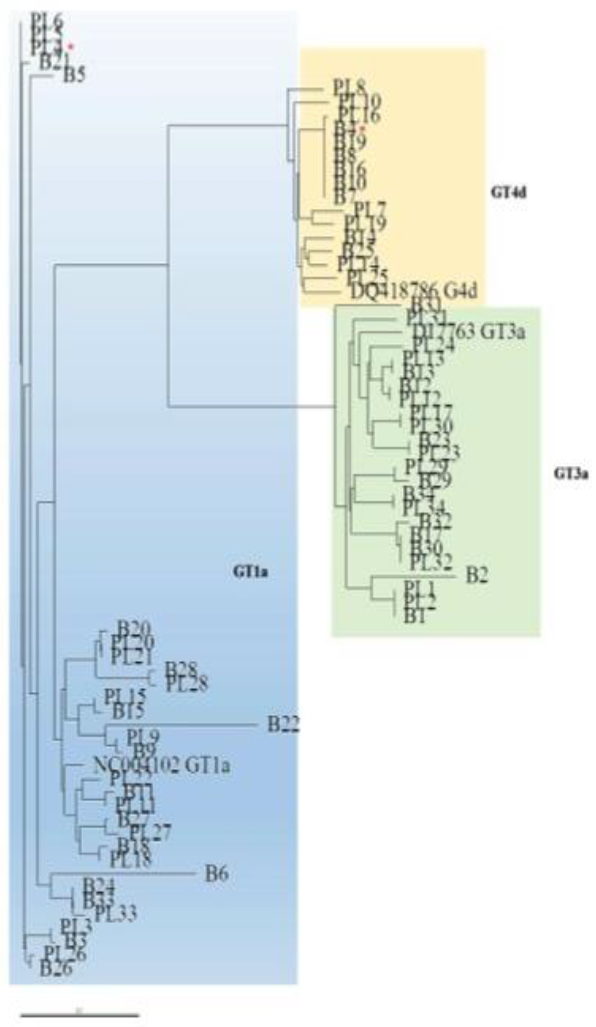 Viruses 13 01486 g003 550