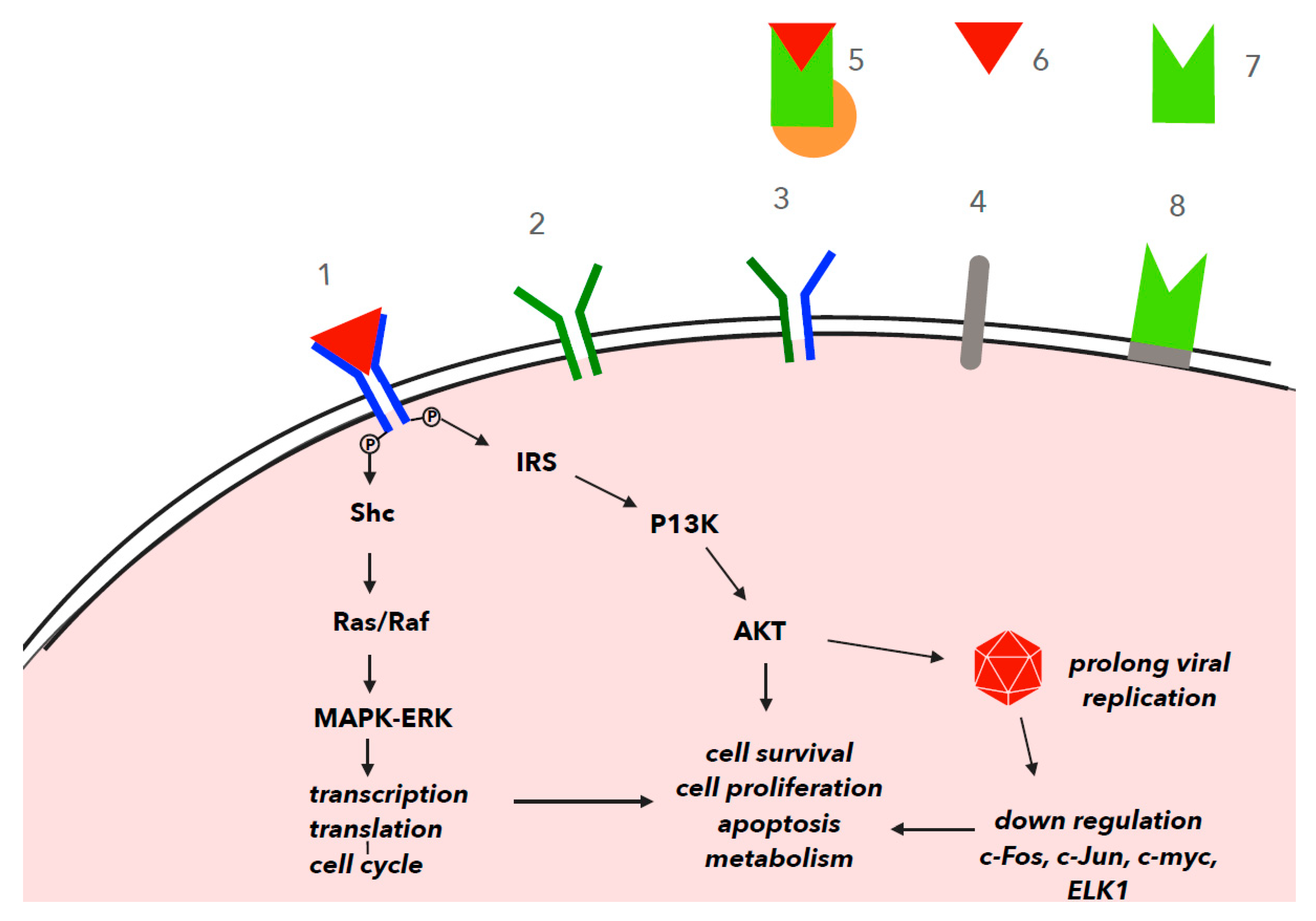 Appliquez l'une de ces 10 techniques secrètes pour améliorer combinaison de protéines et de glucides pour la perte de poids