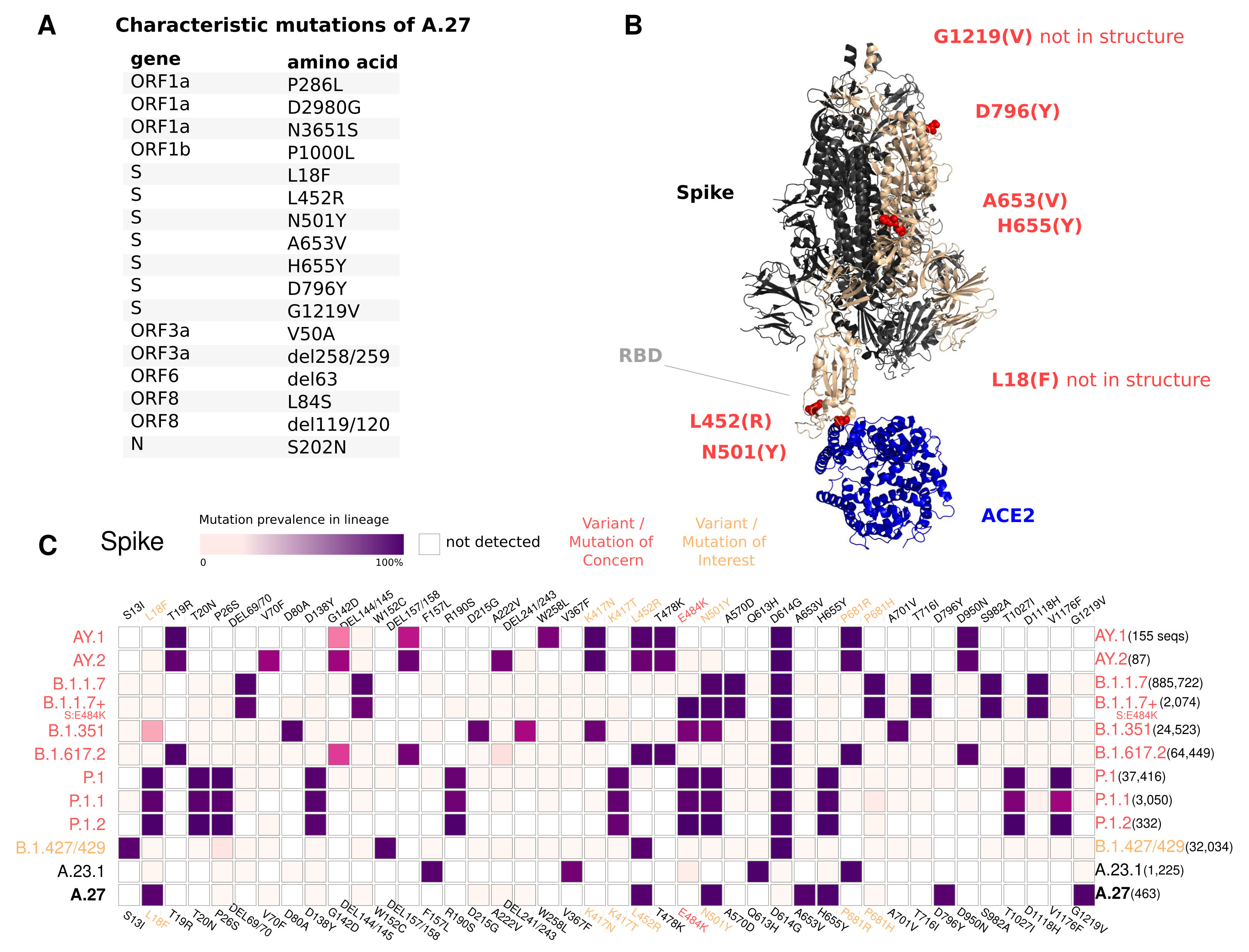 Viruses 13 01491 g003 550
