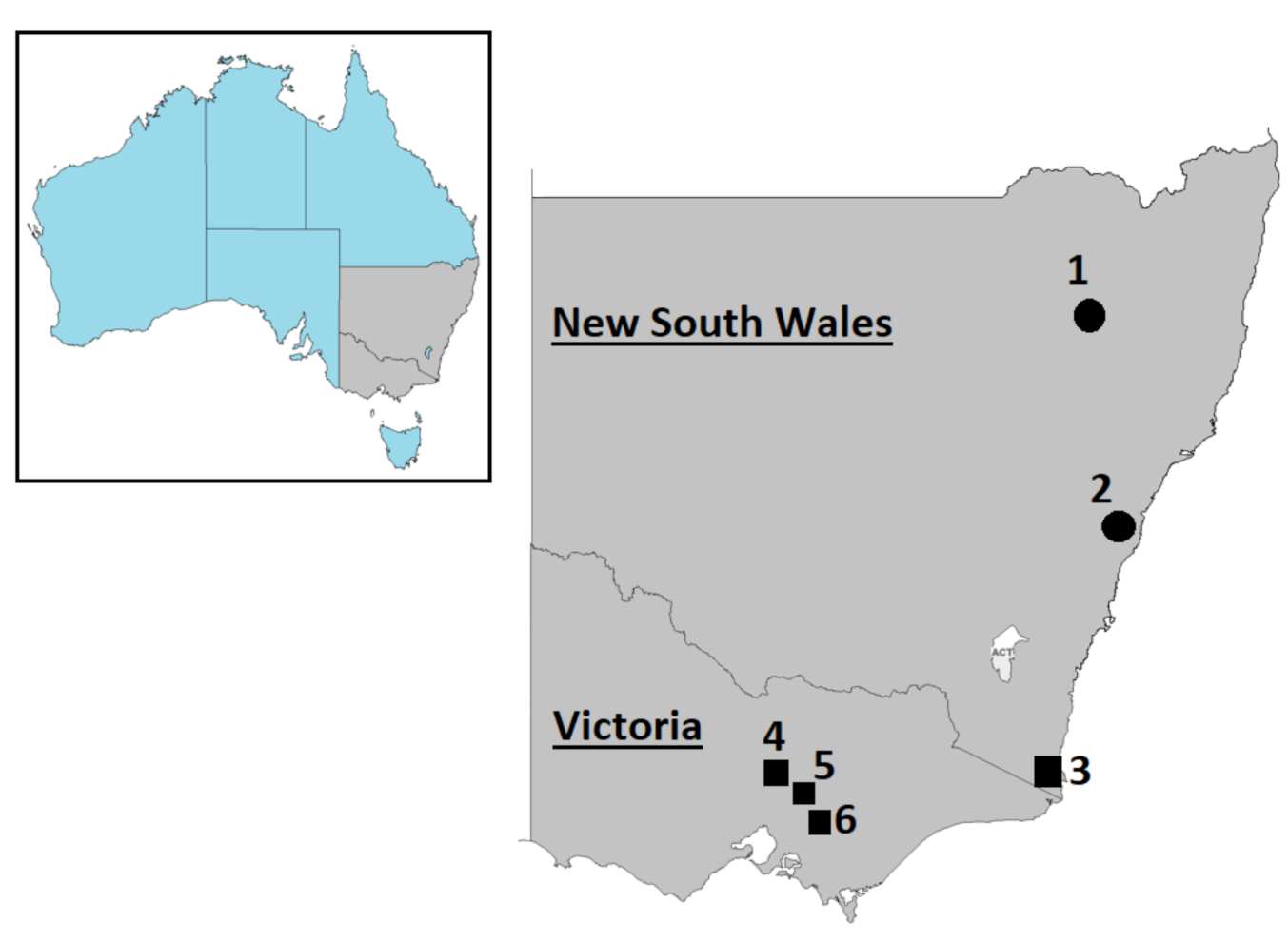 Viruses 13 01492 g001 550