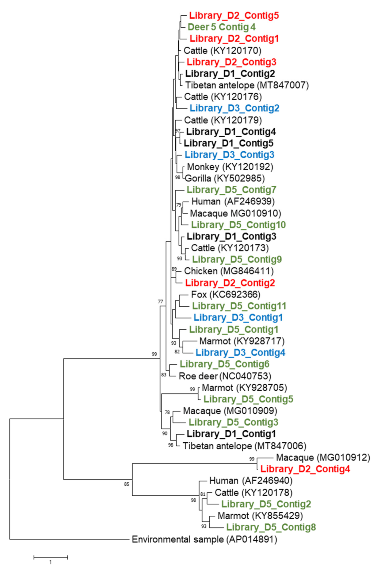 Viruses 13 01492 g002 550