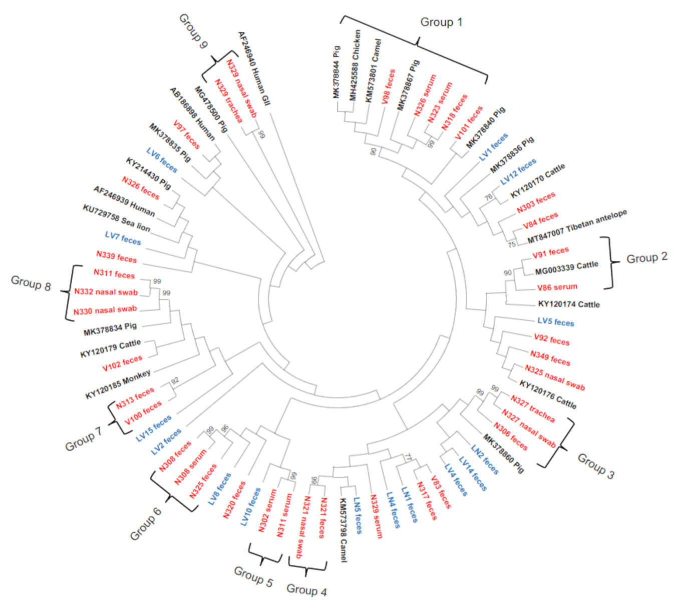 Viruses 13 01492 g003 550