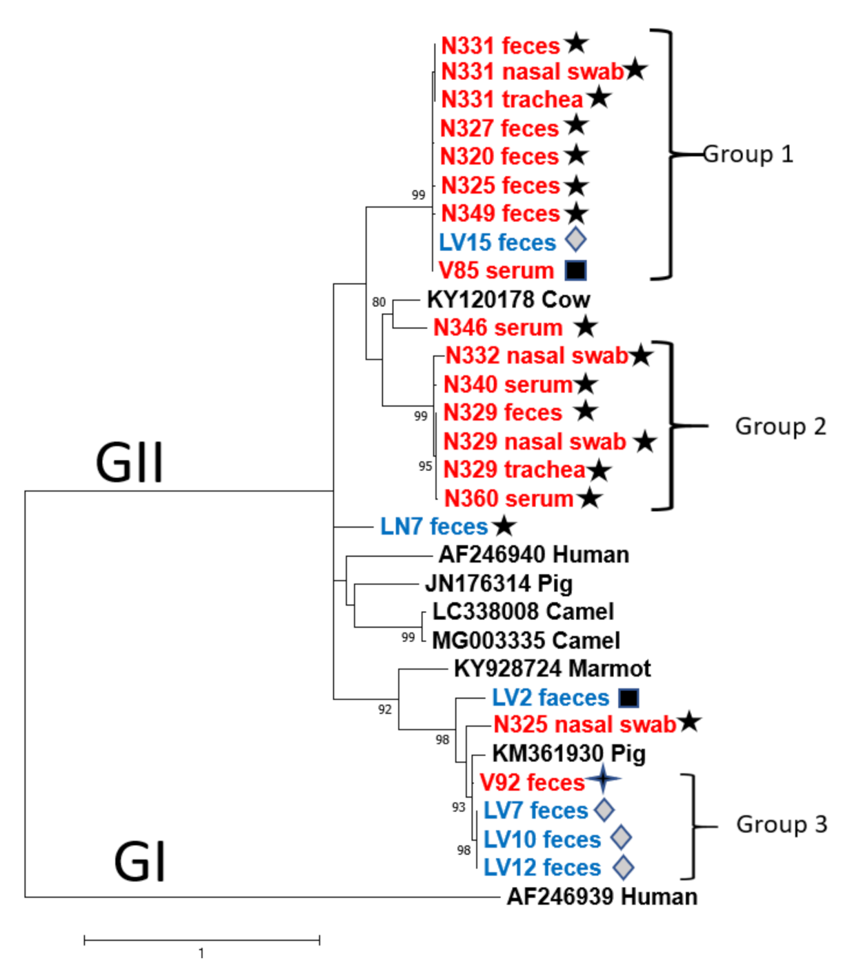 Viruses 13 01492 g004 550