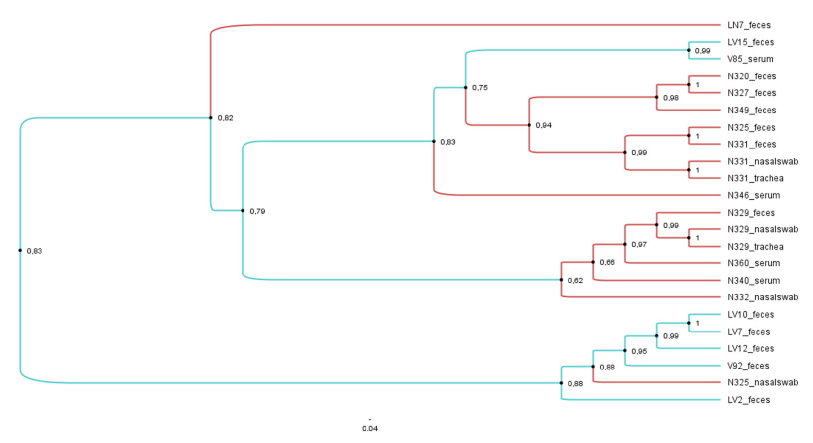 Viruses 13 01492 g005 550