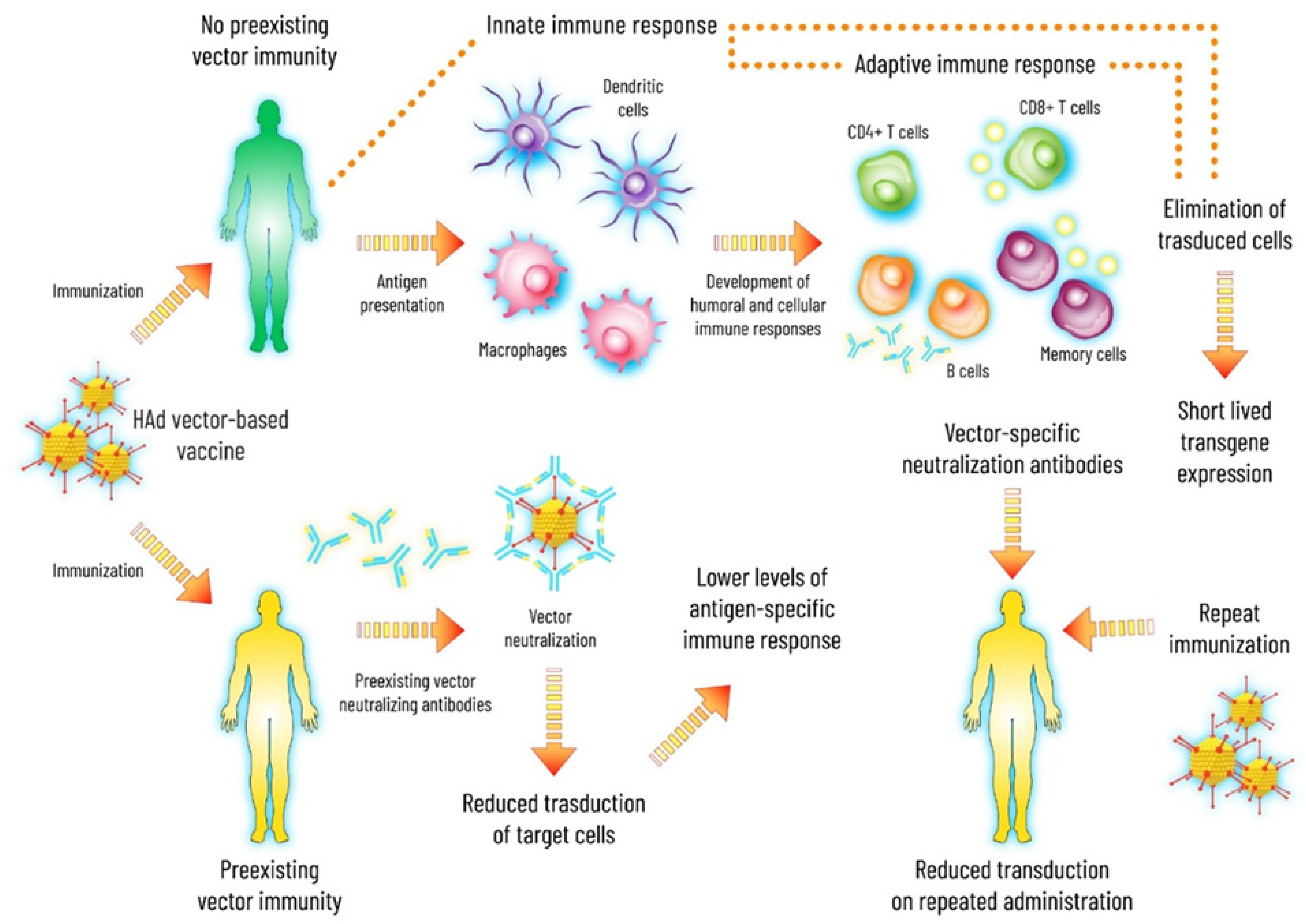 Viruses 13 01493 g001 Viruses 13 01493 g001