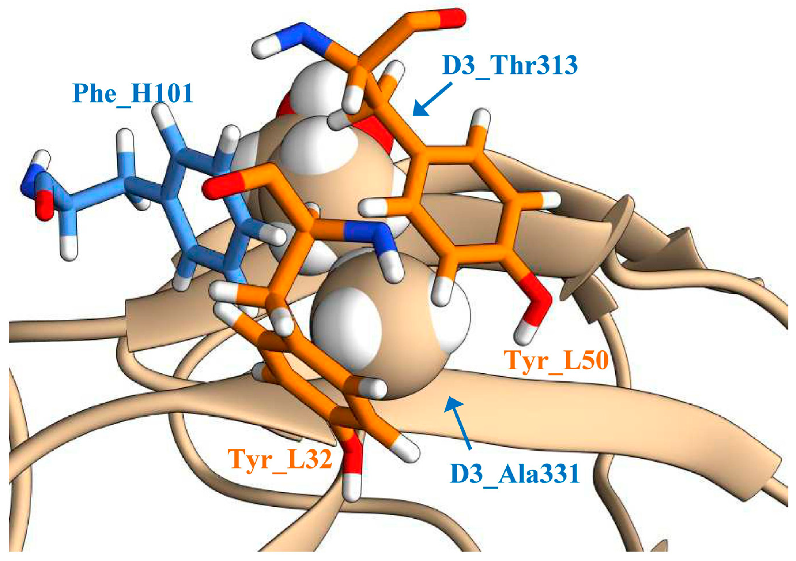 Viruses 13 01494 g001