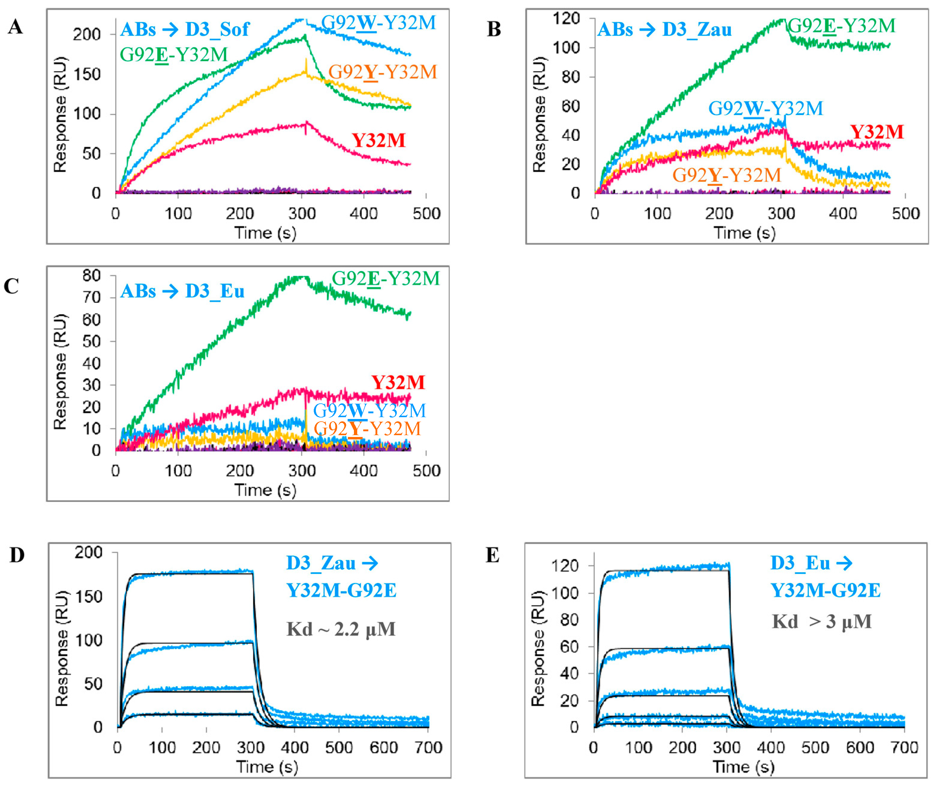 Viruses 13 01494 g003