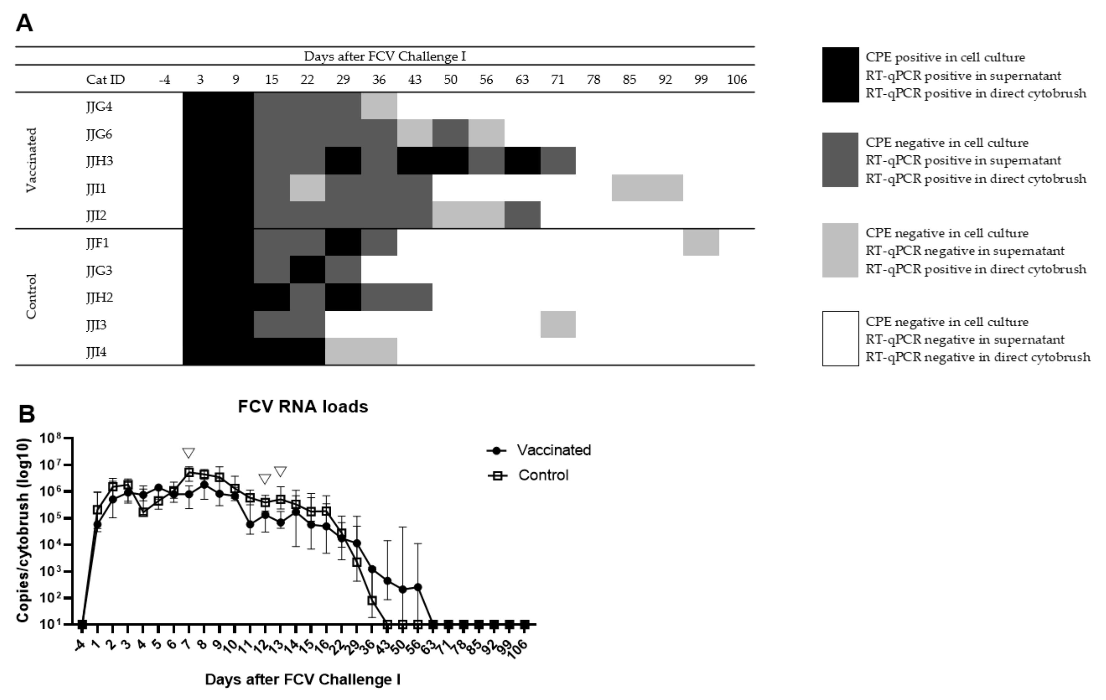 Viruses 13 01505 g004 550