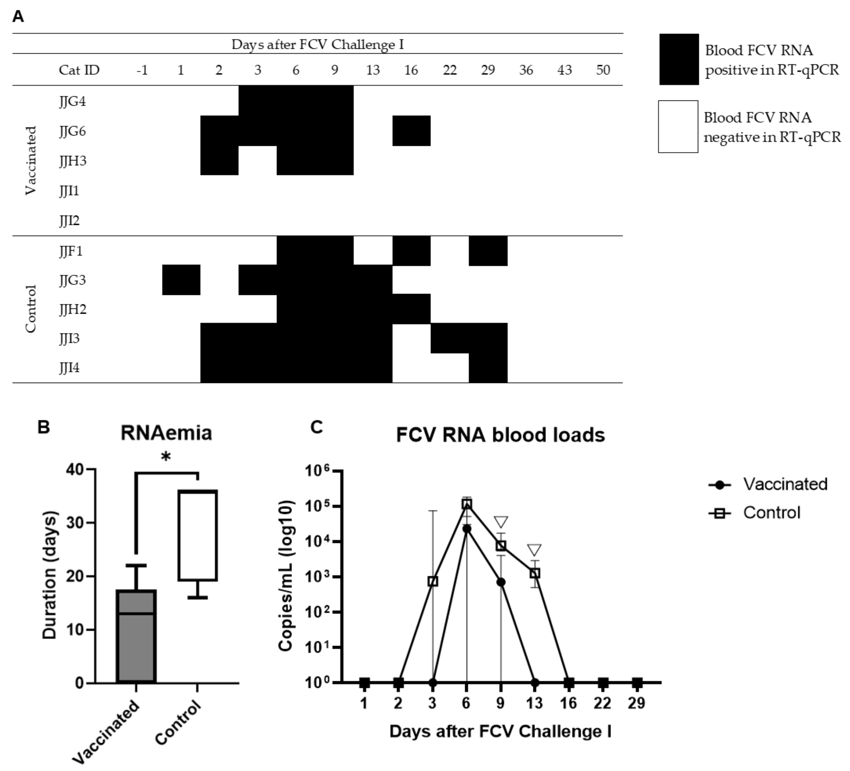 Viruses 13 01505 g005 550