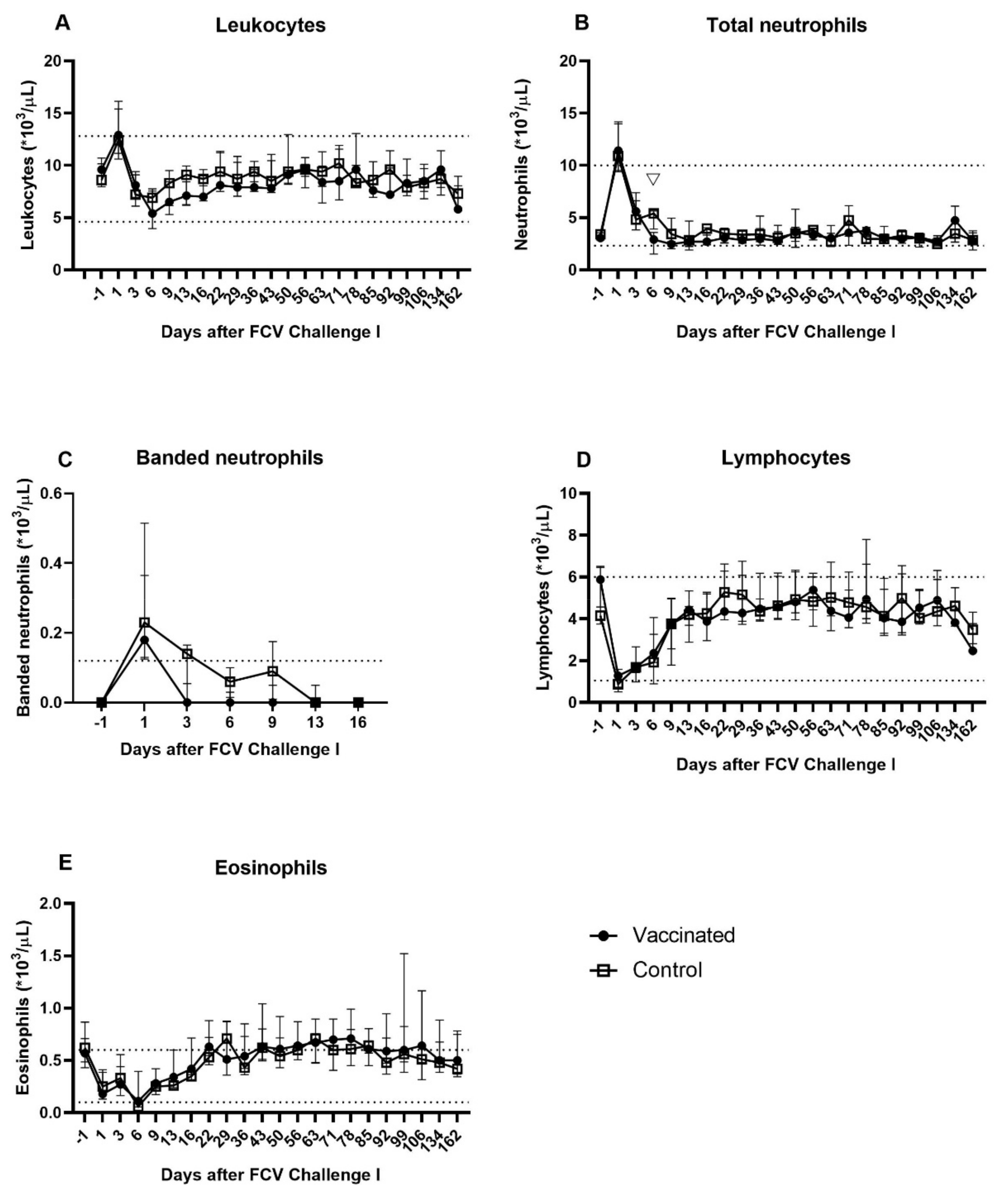 Viruses 13 01505 g006 550