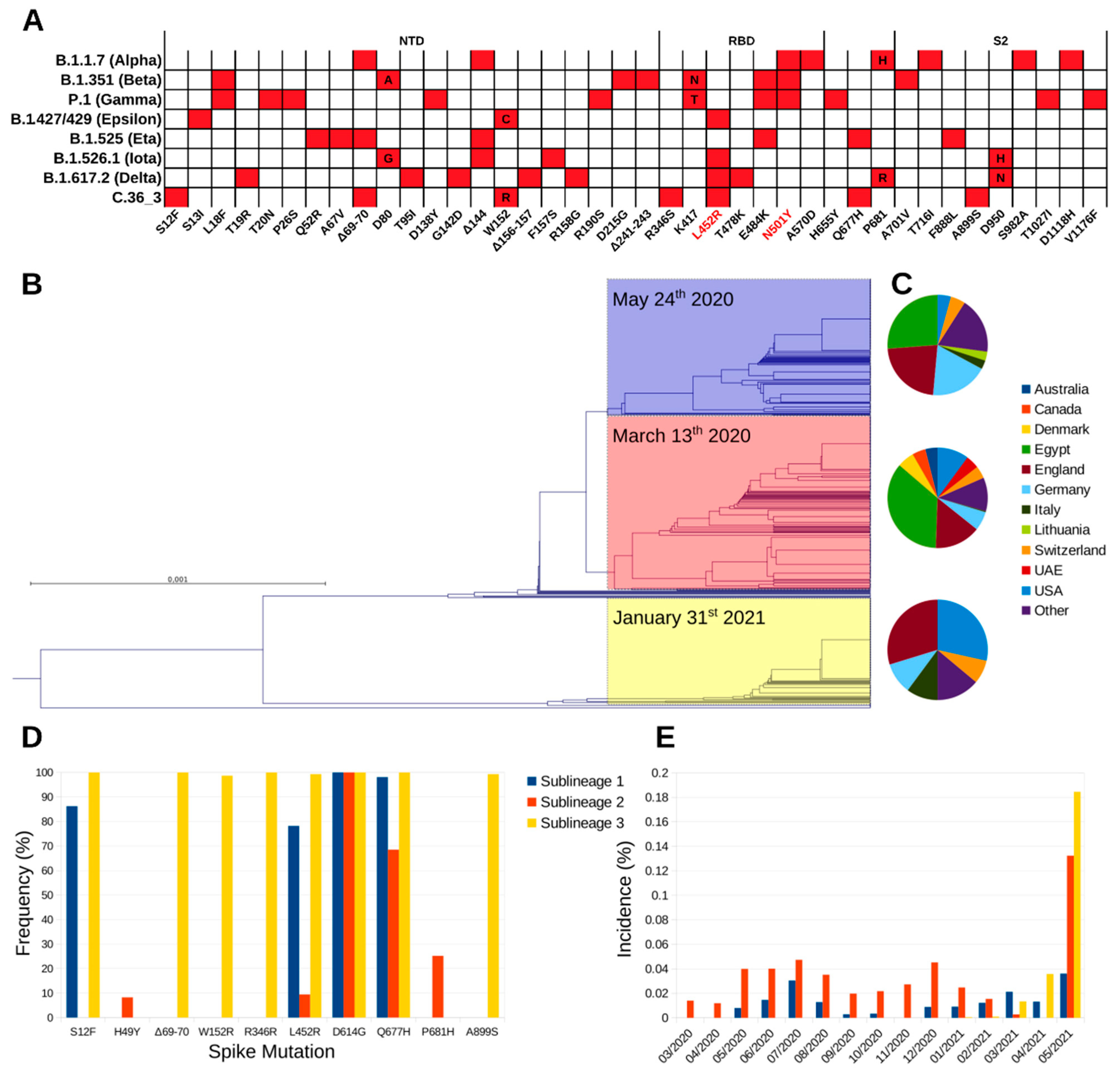 Viruses 13 01514 g001 550